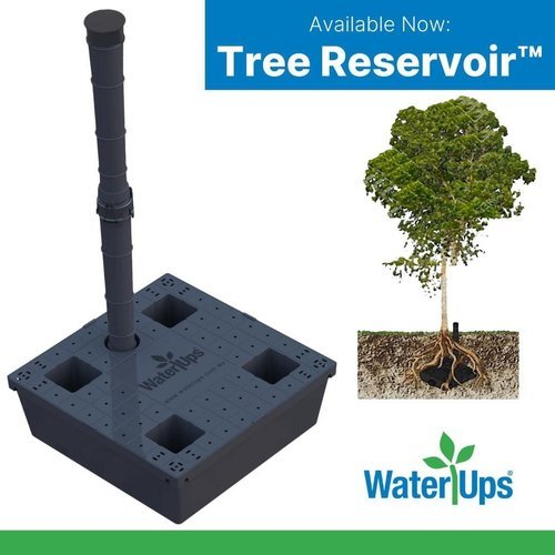 Tree+reservoir.jpg