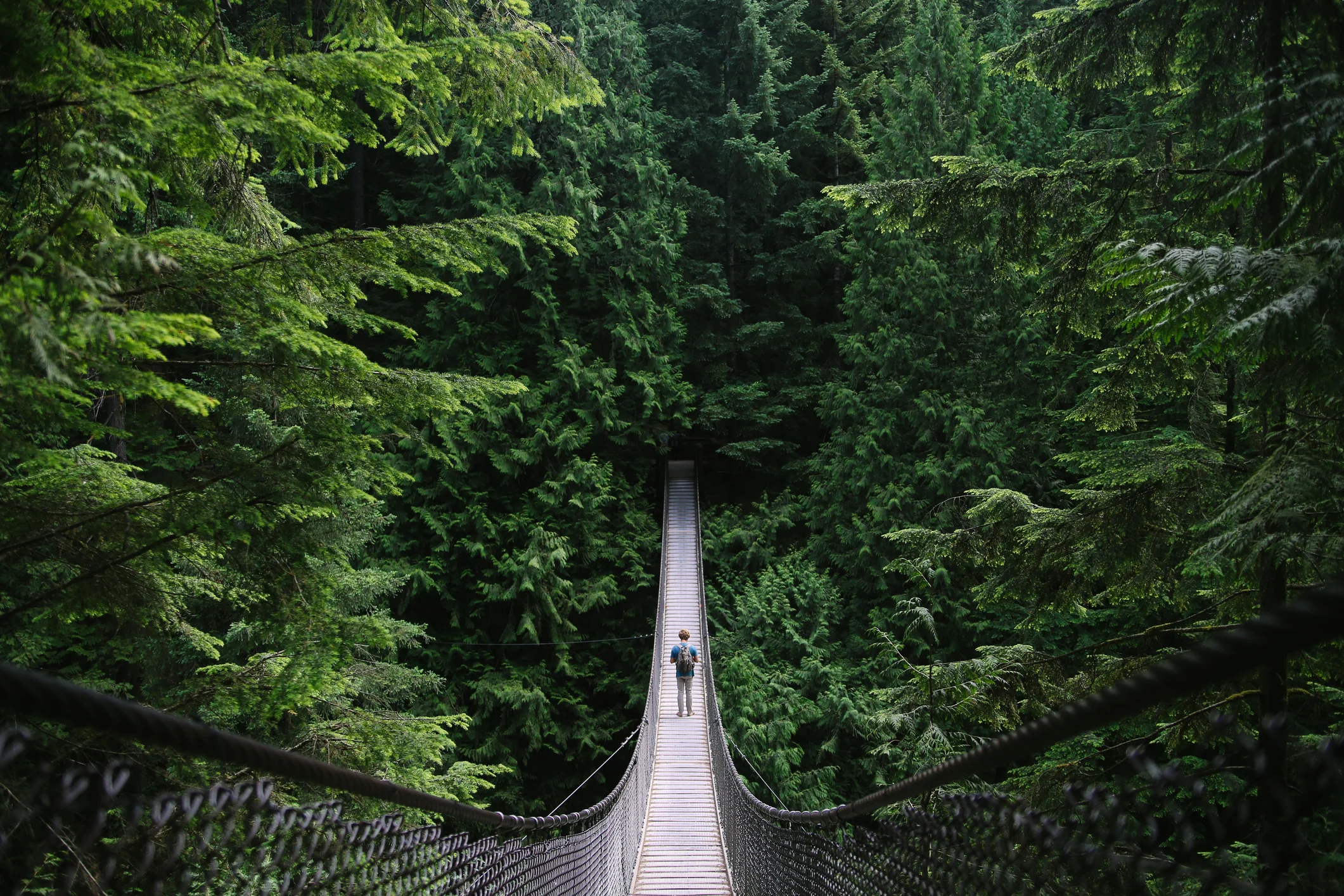 iStock-903015102.jpg
