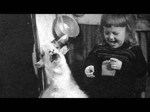 The Devil's Dough Commercial