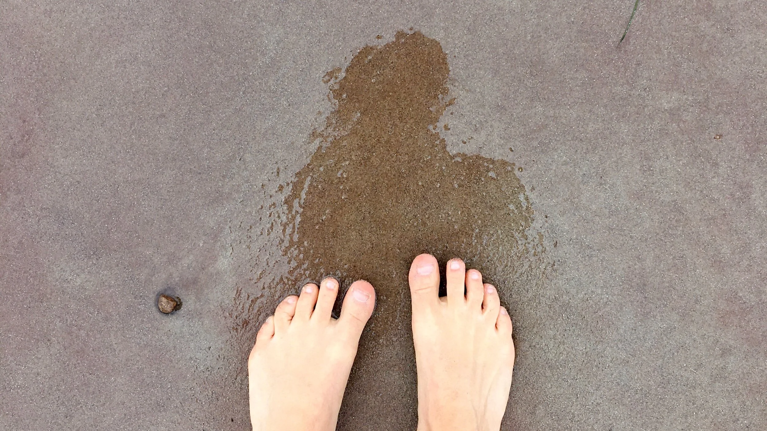 Salt + Poetry: We Buried