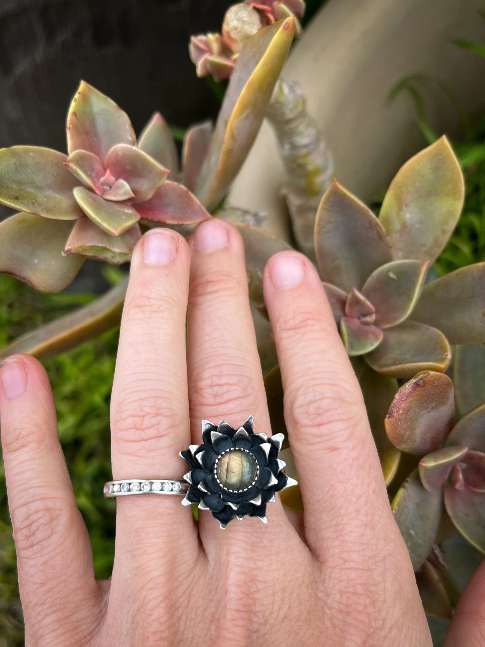 33AE32A5-4BC4-4B78-BB38-CAE5199A1405