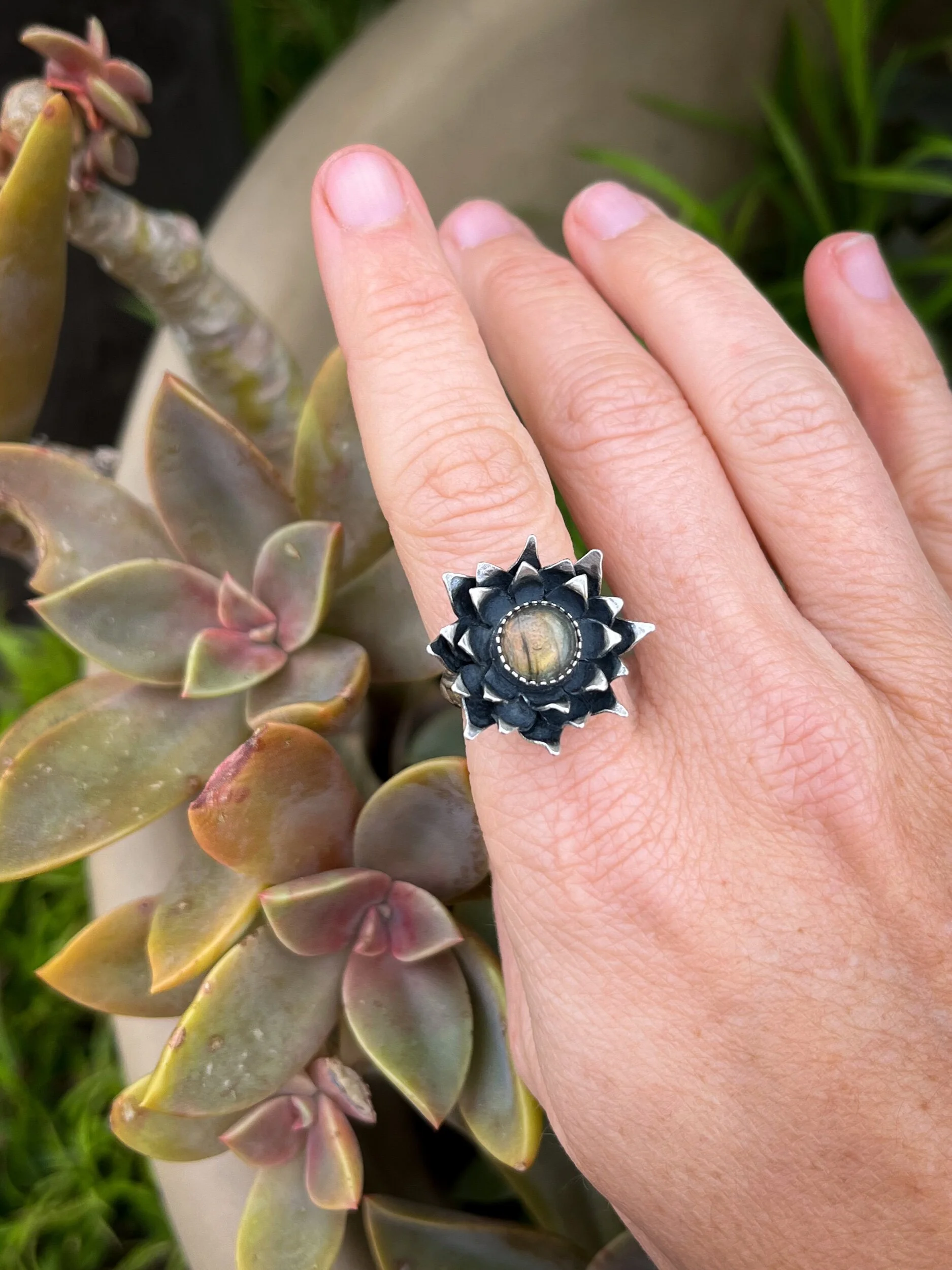 BA81FDFF-27EF-46B2-98C2-1E6033F9C750