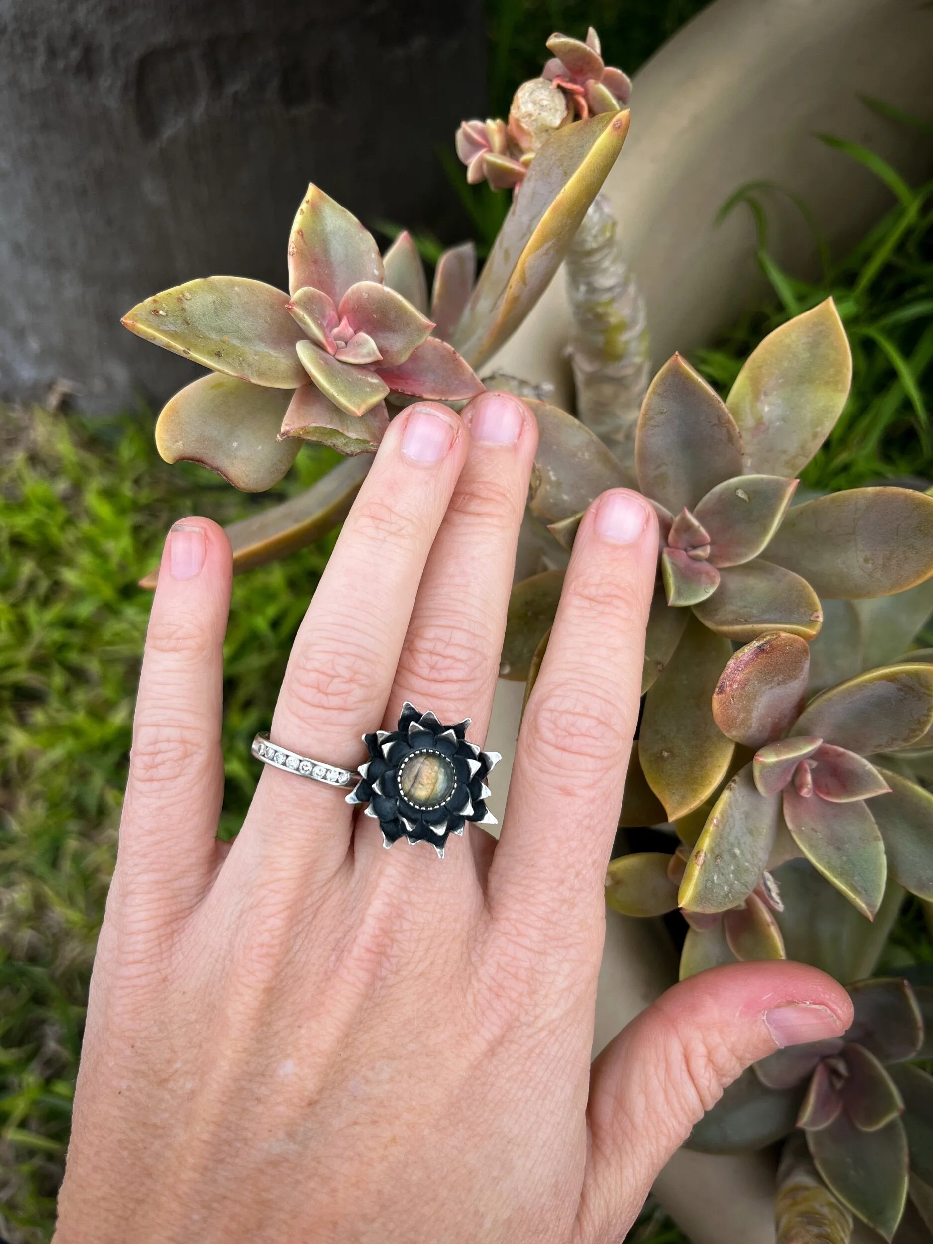 B259FD29-AD5D-4A8D-8E22-1F340775691E