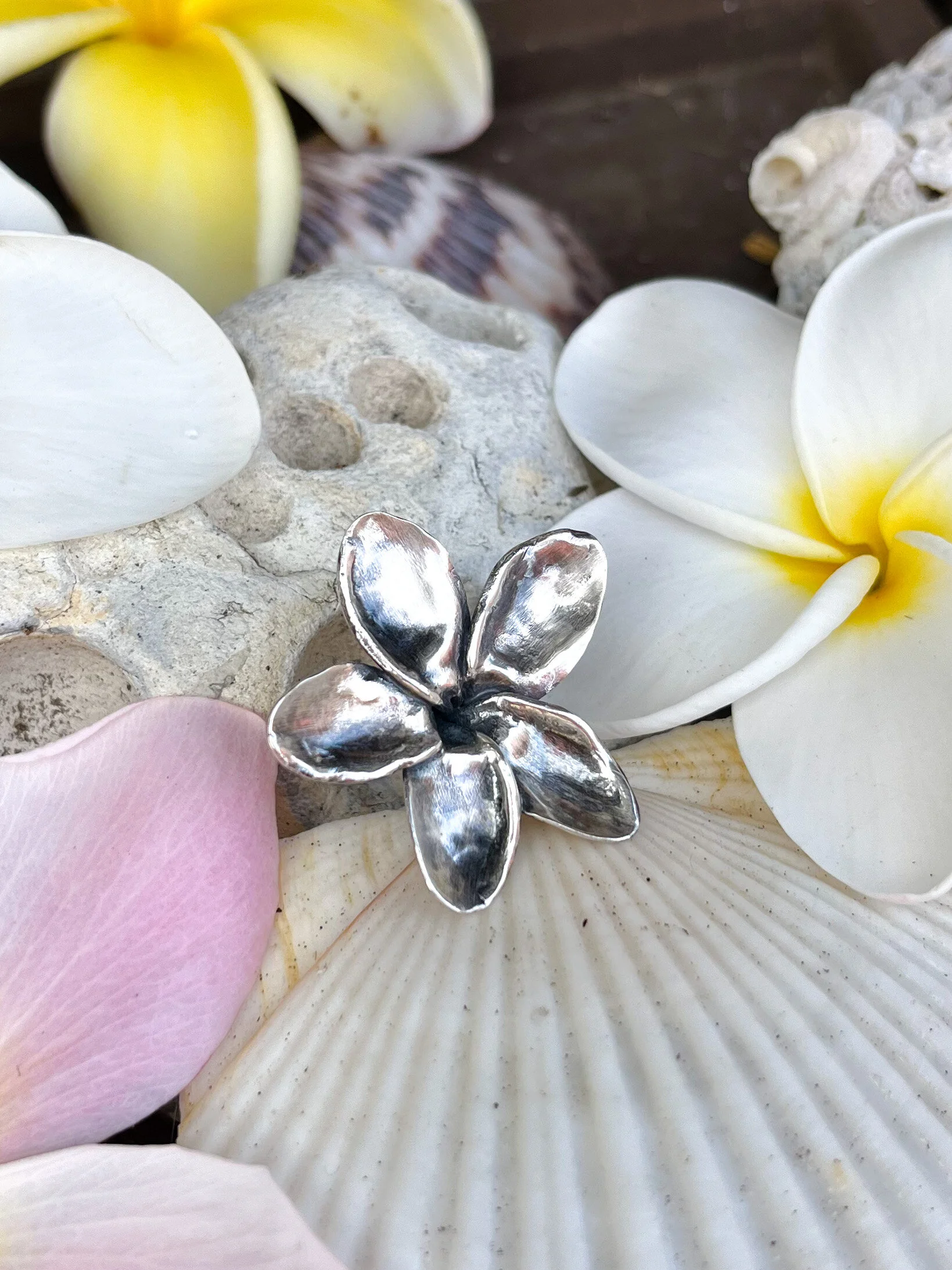 E887E48D-83B0-44B0-AB77-FD39805E3F86