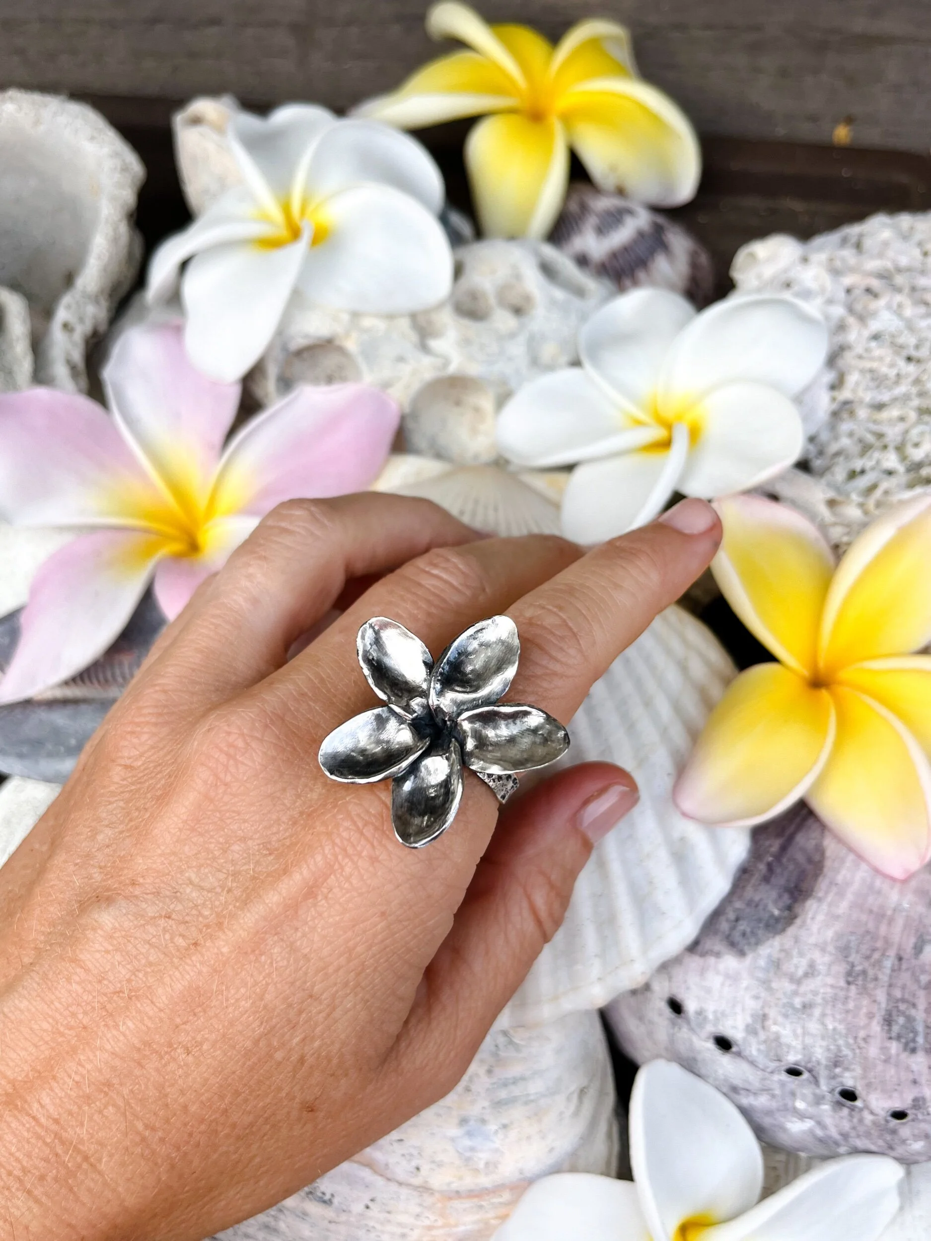 7F6DA81C-7114-41C7-A114-0F6403C7A268