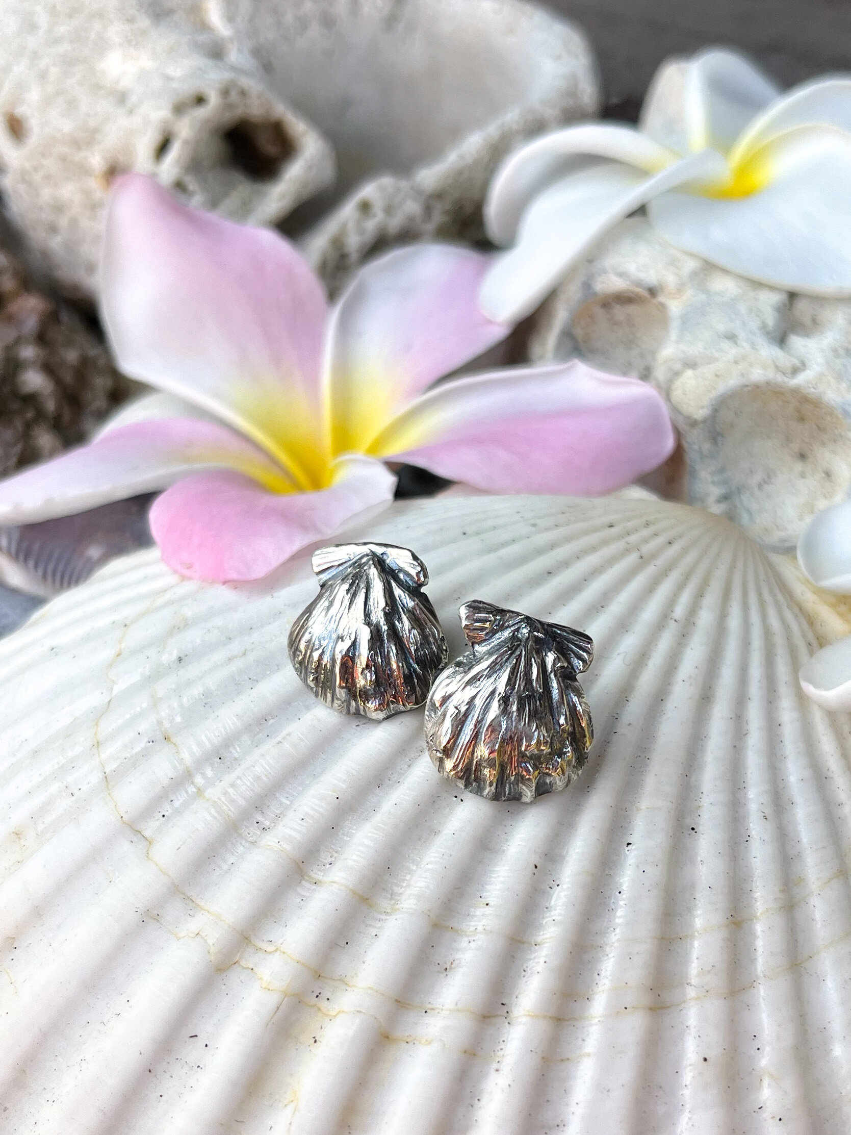 F31A49E3-BEFC-4B9E-9EFD-B59D5E257745