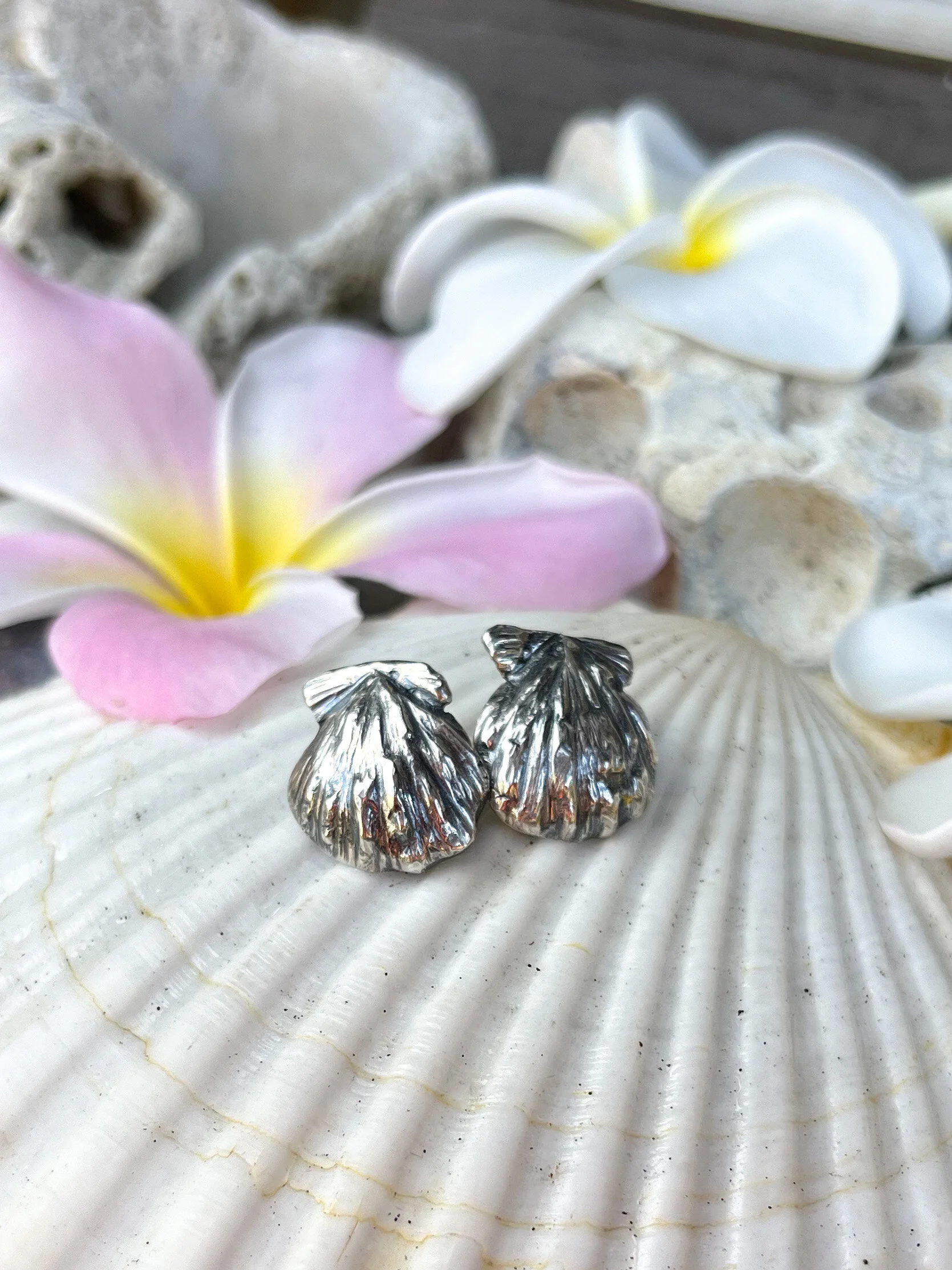 7D7464AC-8DDF-4985-A753-27E6E7553C36