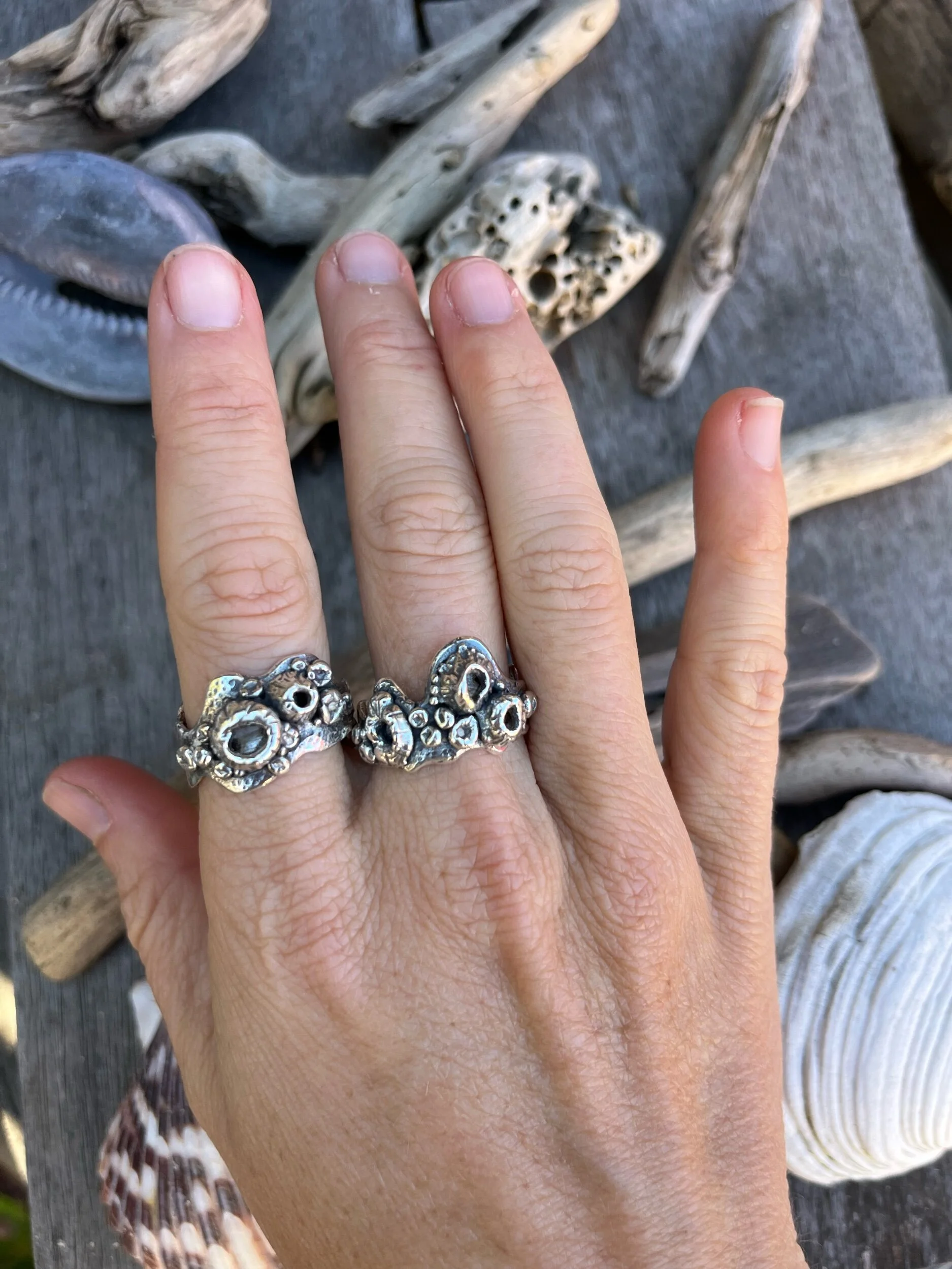 D1EC95CE-E895-494A-B438-8B06EC67416A