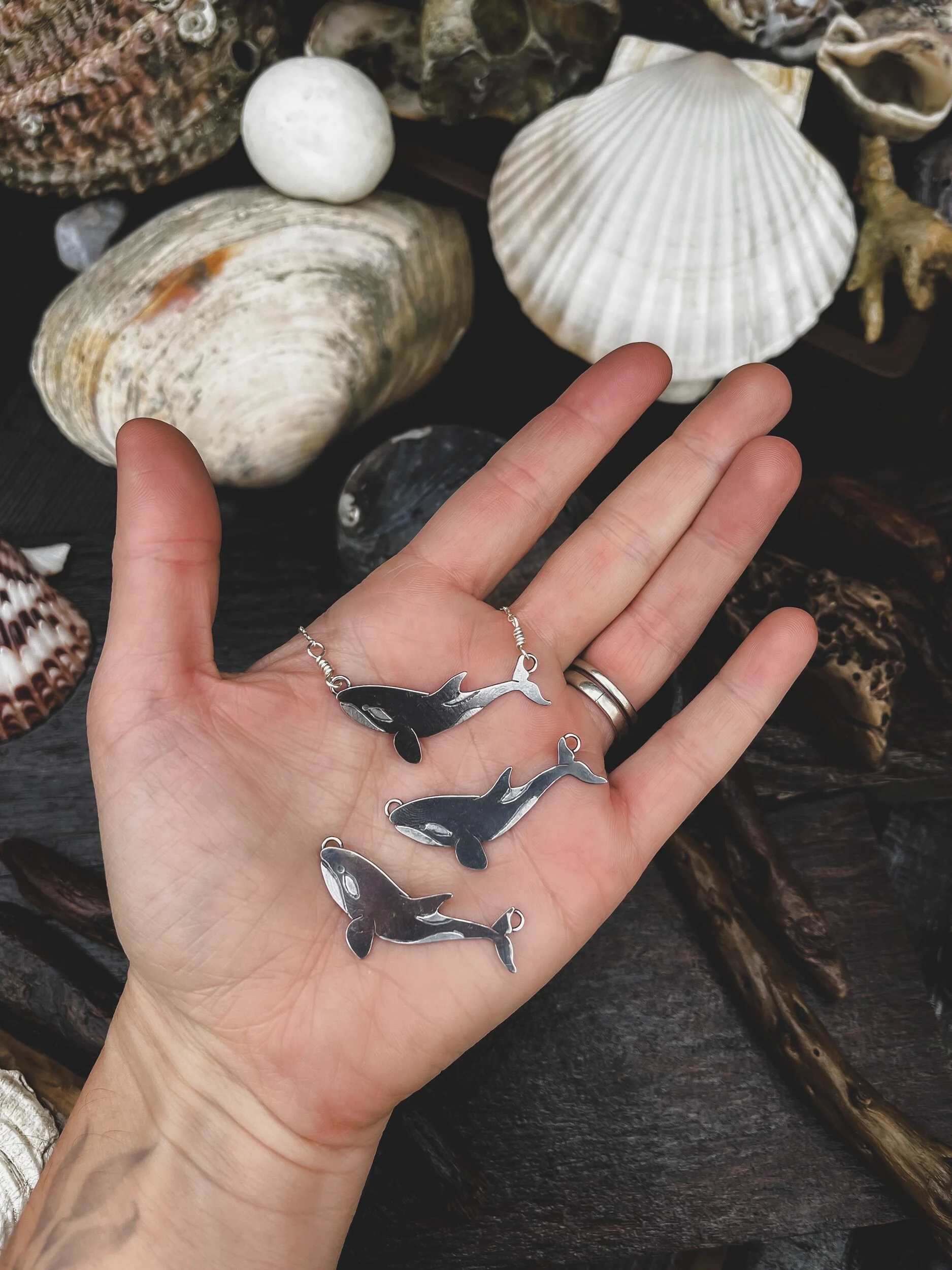 04C6A48D-70B9-4588-B7CB-107EBC2086DF