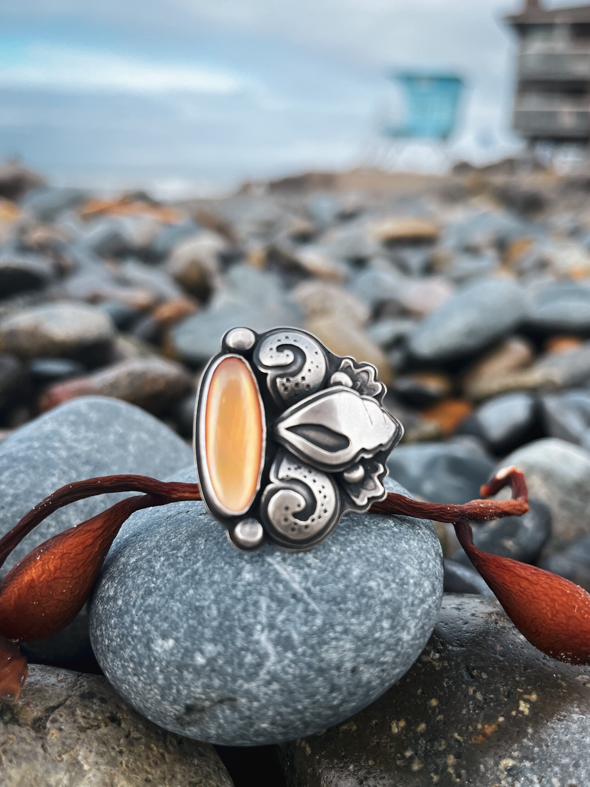 B343DC66-991C-4965-805E-1D8AE61C6760