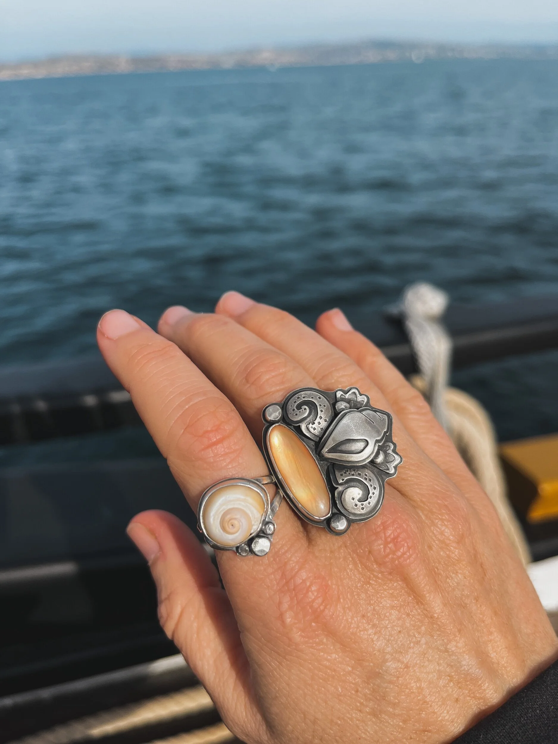 8B25EBBC-F618-4679-9D53-E802DBDA3D7C