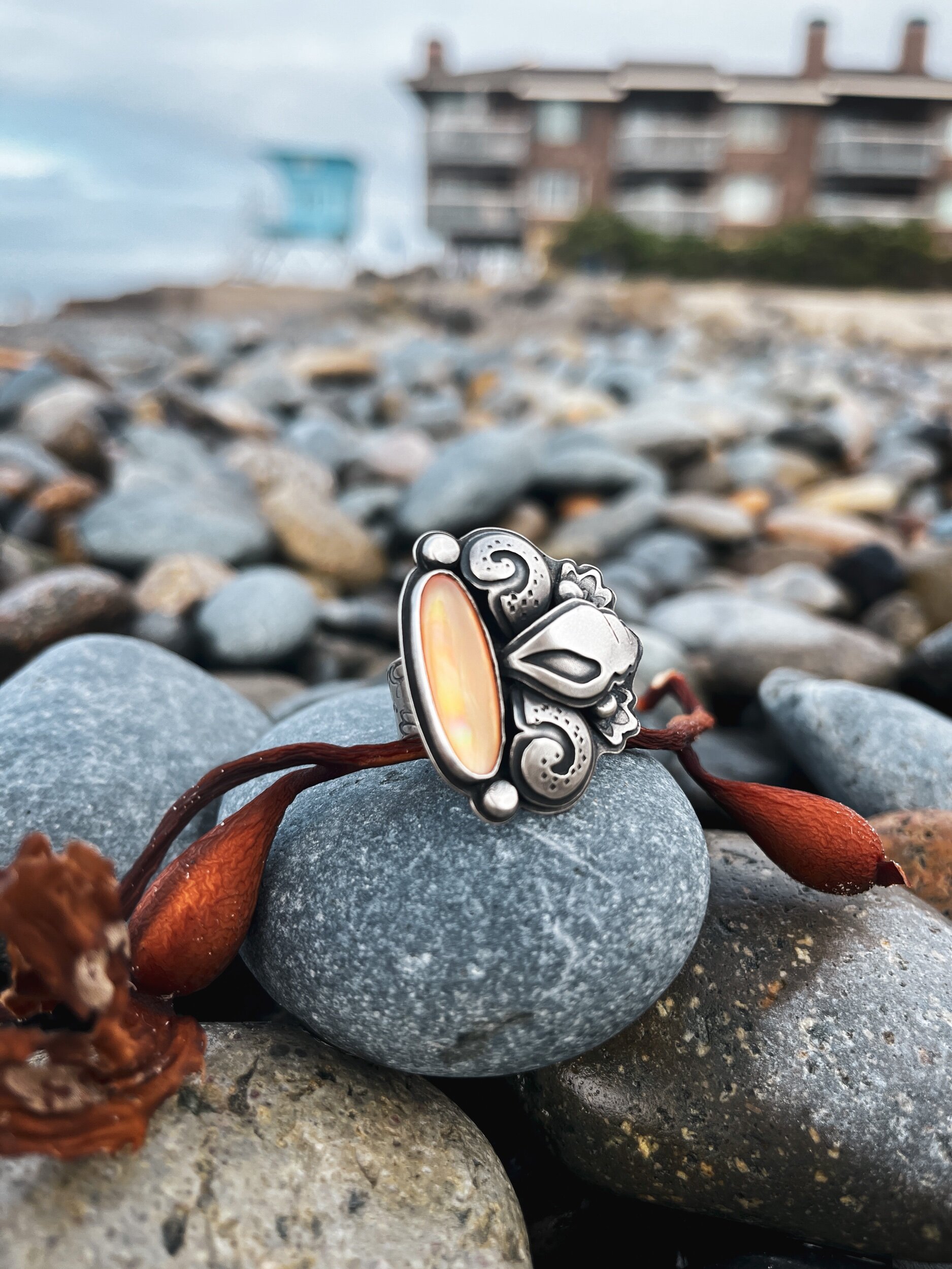 502FF442-4EE1-4C59-A08D-4545EF35788C