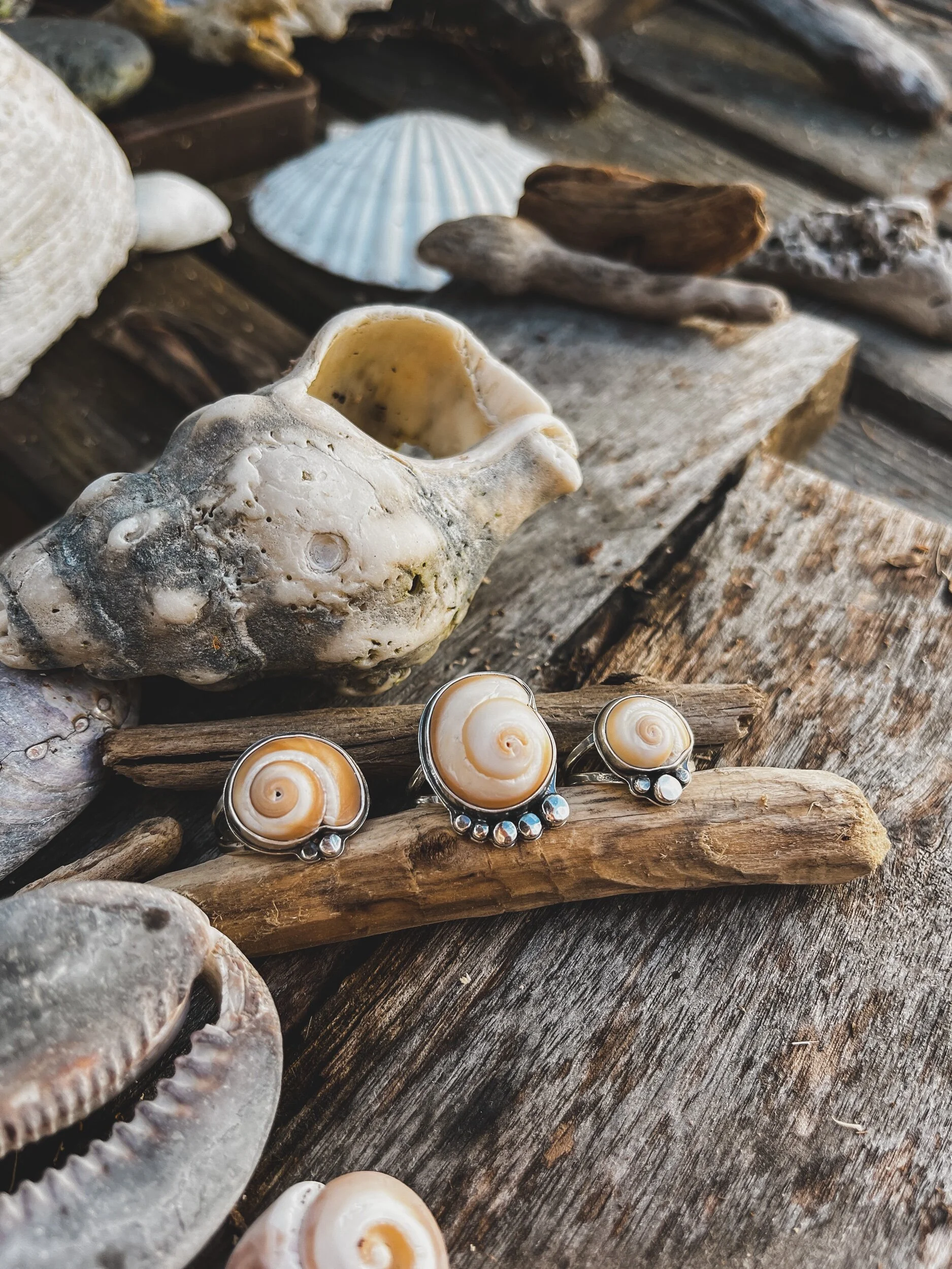 27B7A9AB-8CE3-47A2-9692-29AF4B94077C