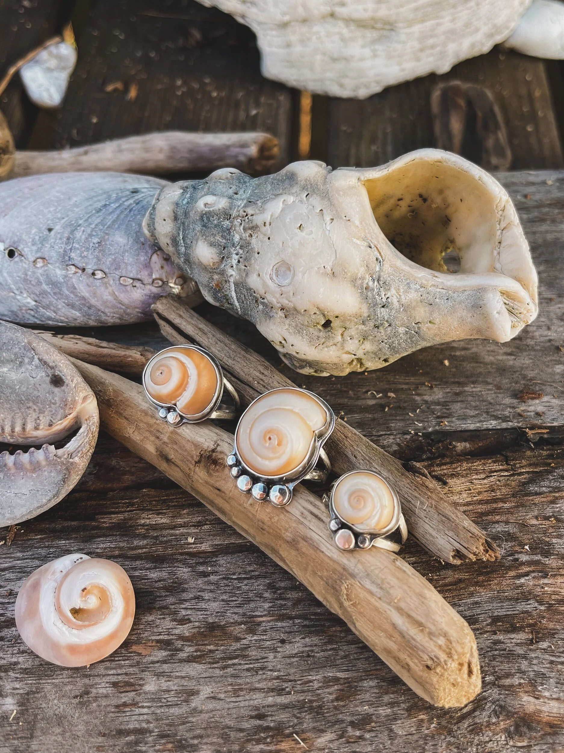 C2C74870-4268-497F-84D9-AE2DCAB820F4