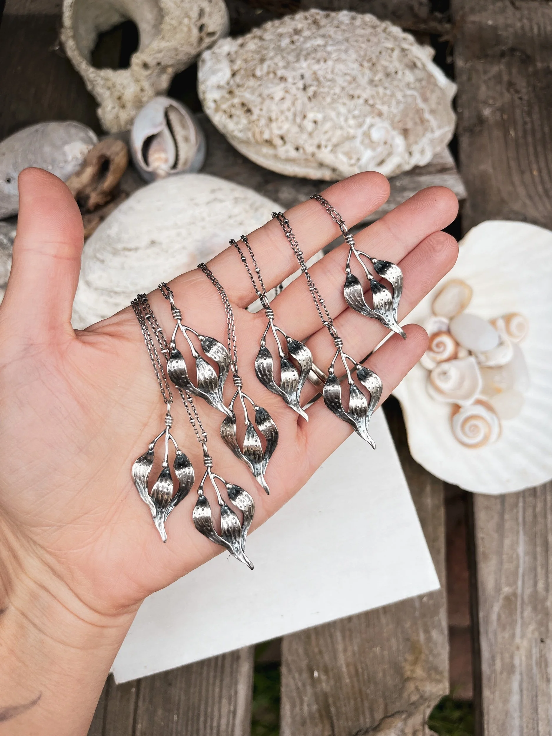 8C07F581-387A-4AE0-AEF4-5A52F36EB8B8