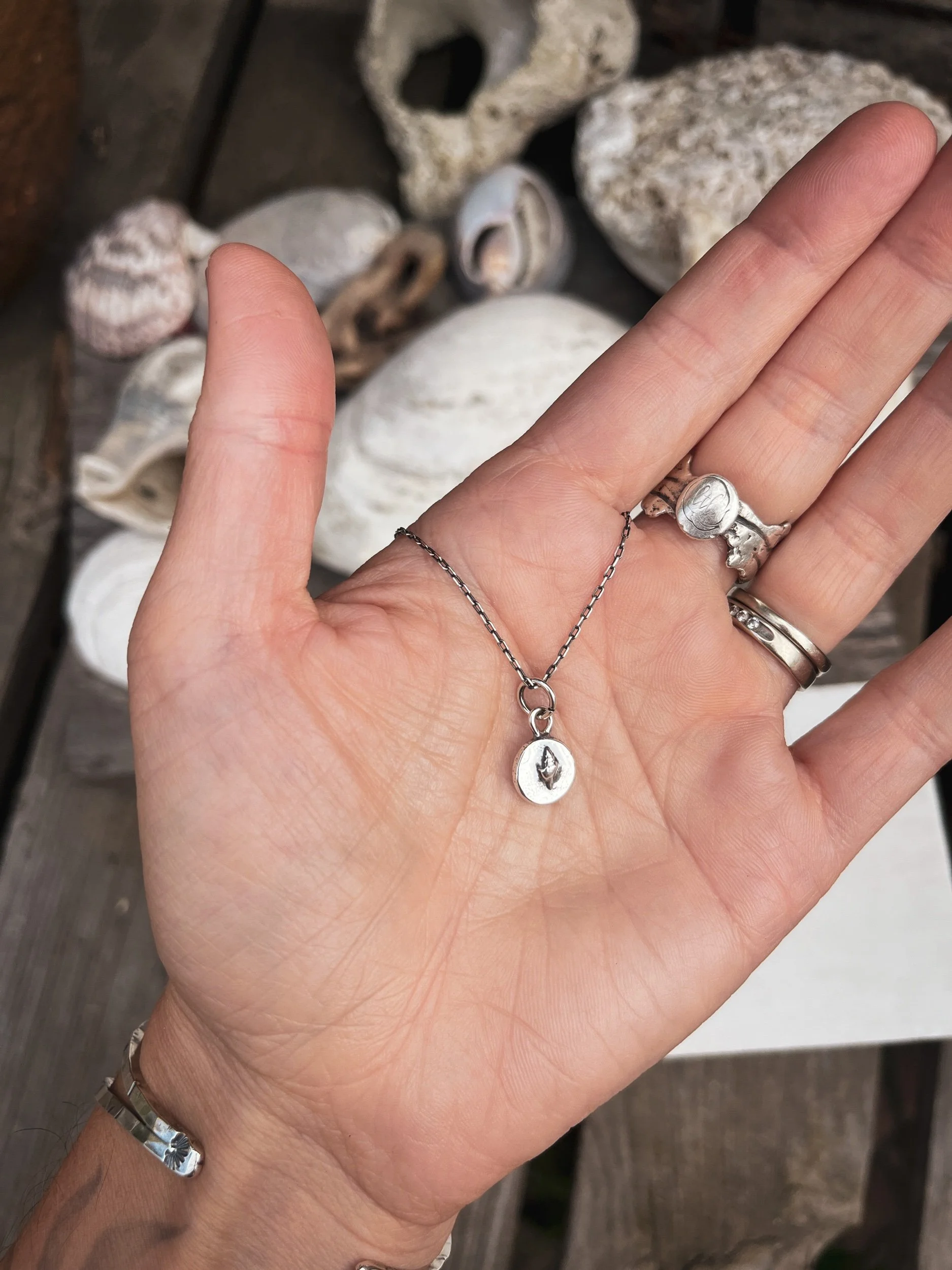 8203855C-88C2-44FC-8052-11B1F0D312E6