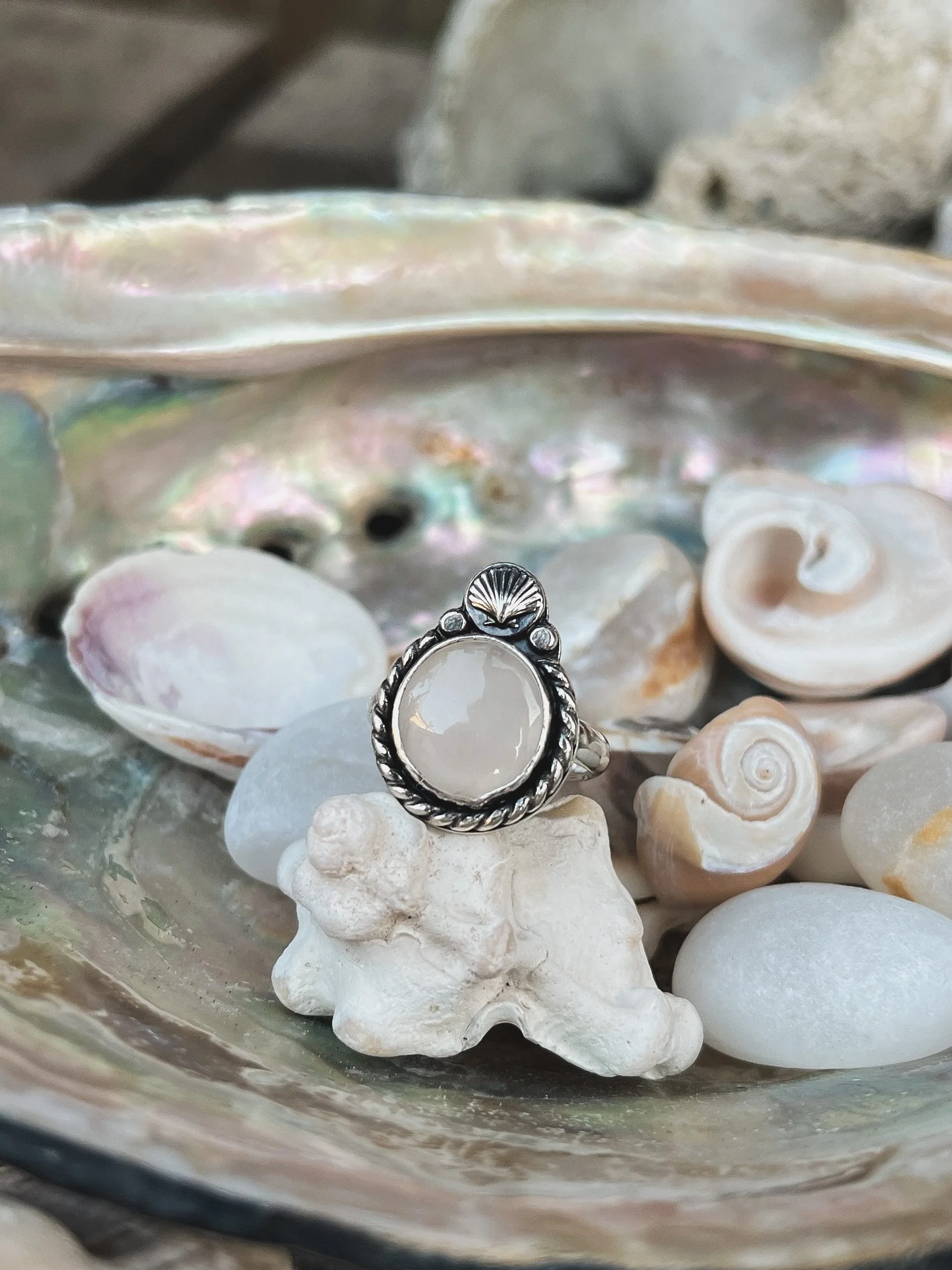 621E7649-F20F-4069-BFEE-054ECF9060C8