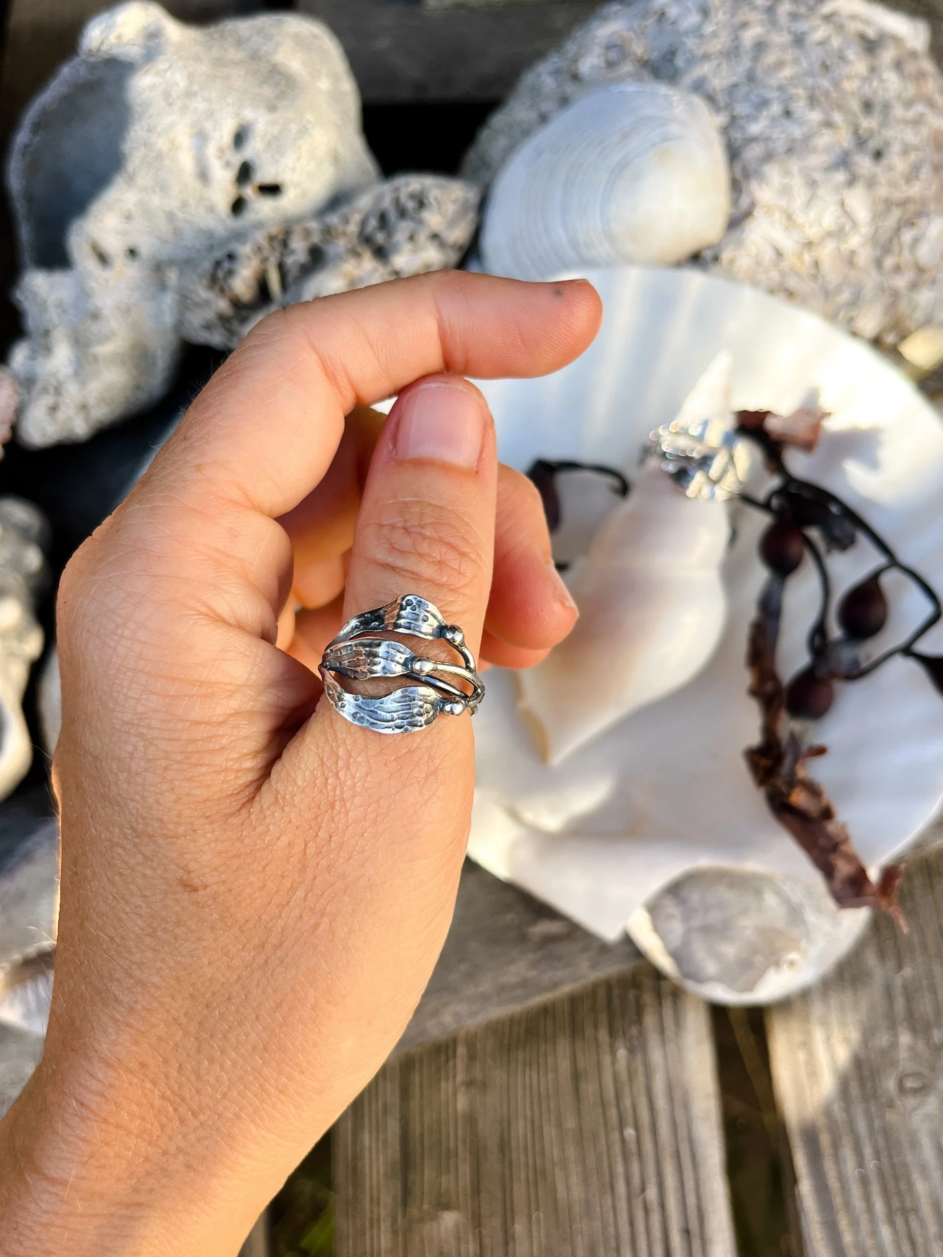 2B5AB584-9996-4FD2-975E-711610B553AA