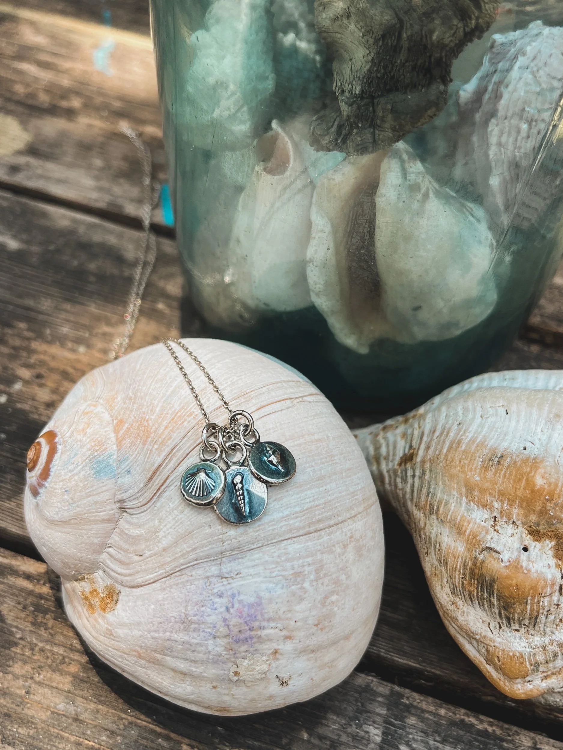 13DD0AE6-8B5B-4733-9C14-085576F85356