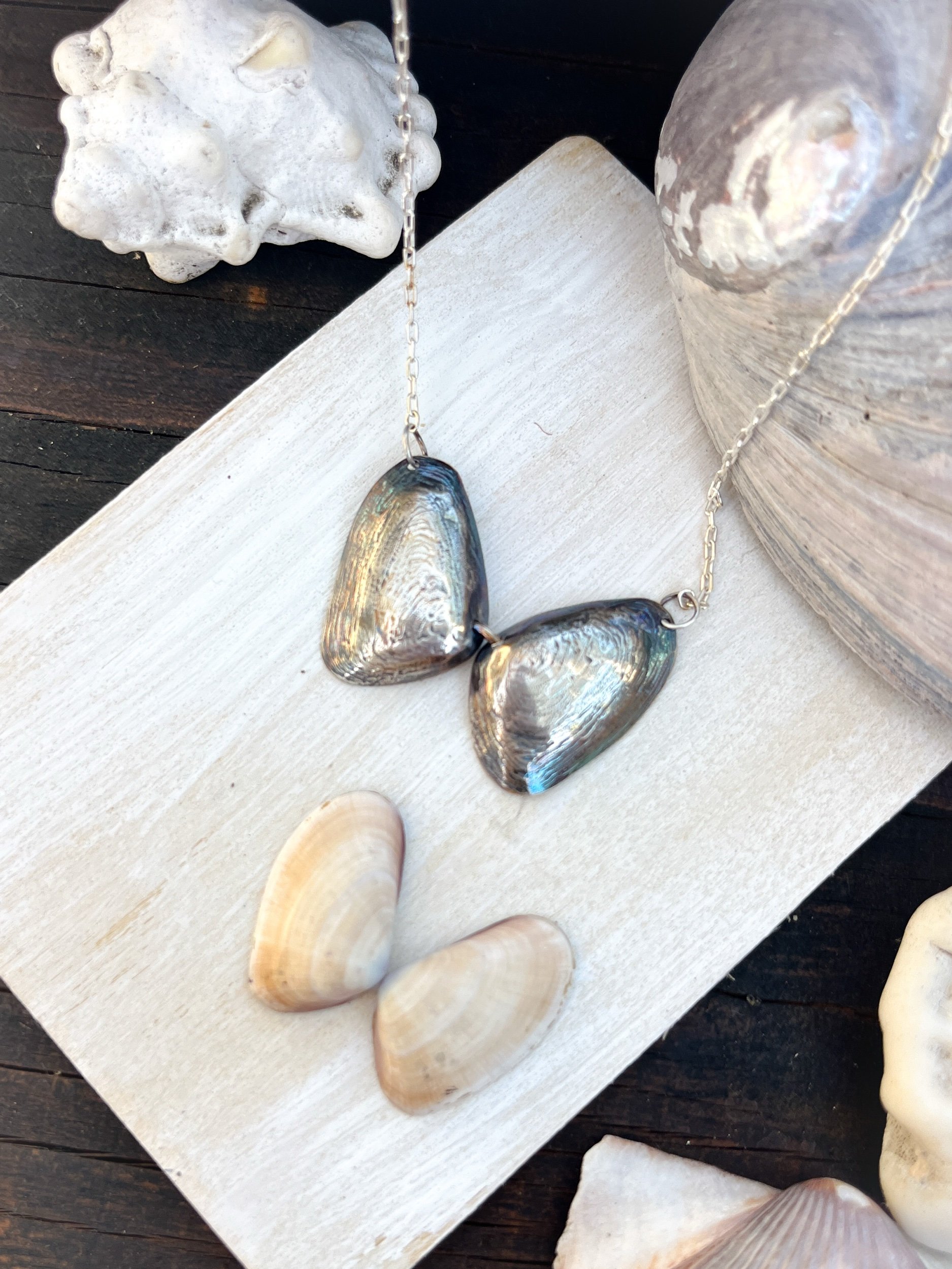 F7CE689C-C64B-4DCC-8F8C-A16ECB781A0A.jpeg