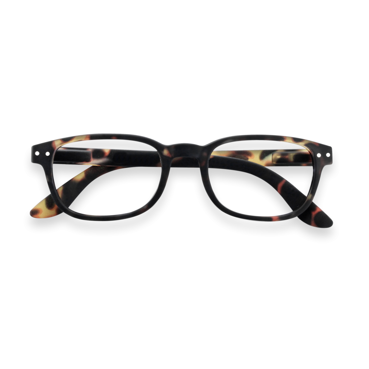 b-tortoise-reading-glasses.png