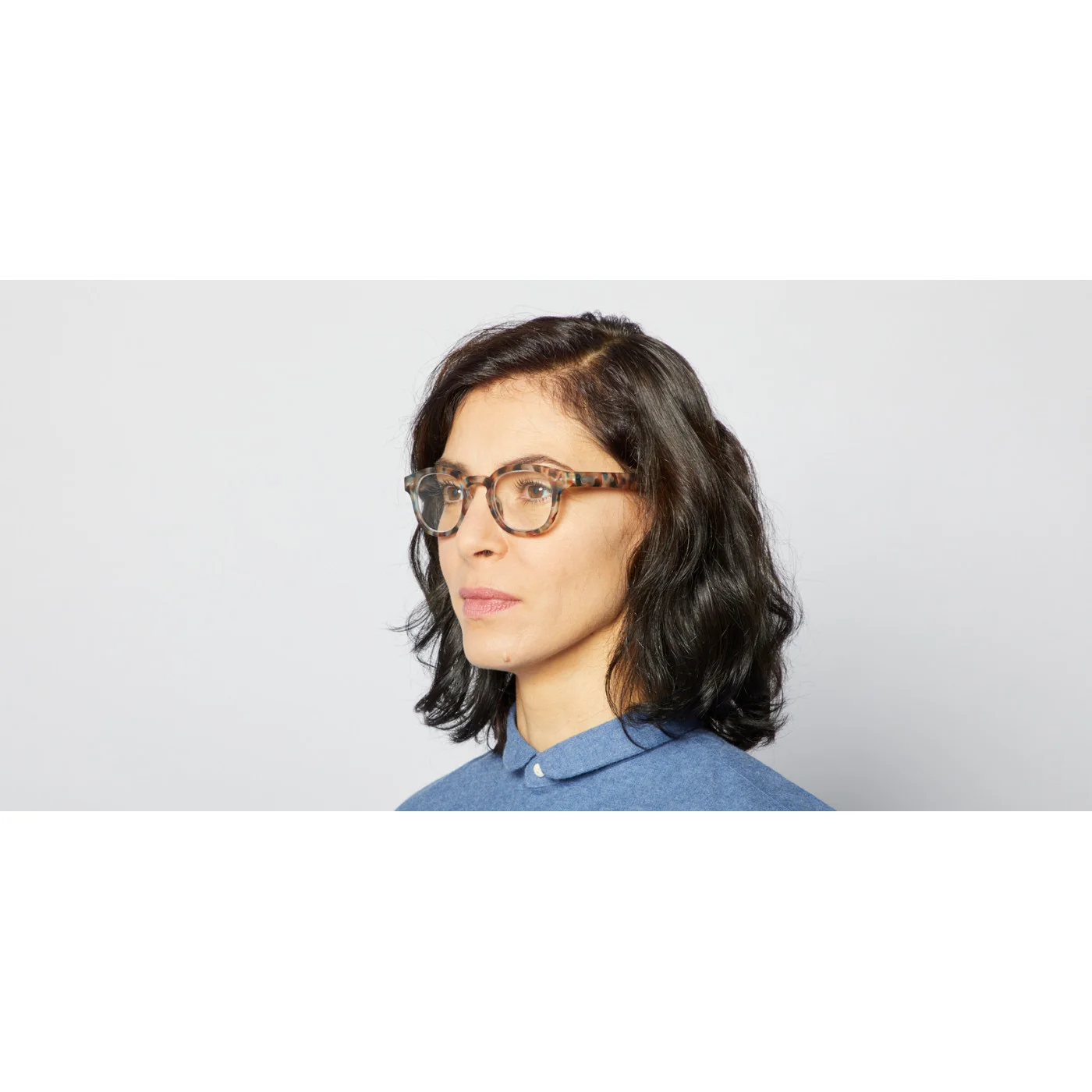 c-blue-tortoise-reading-glasses.jpg