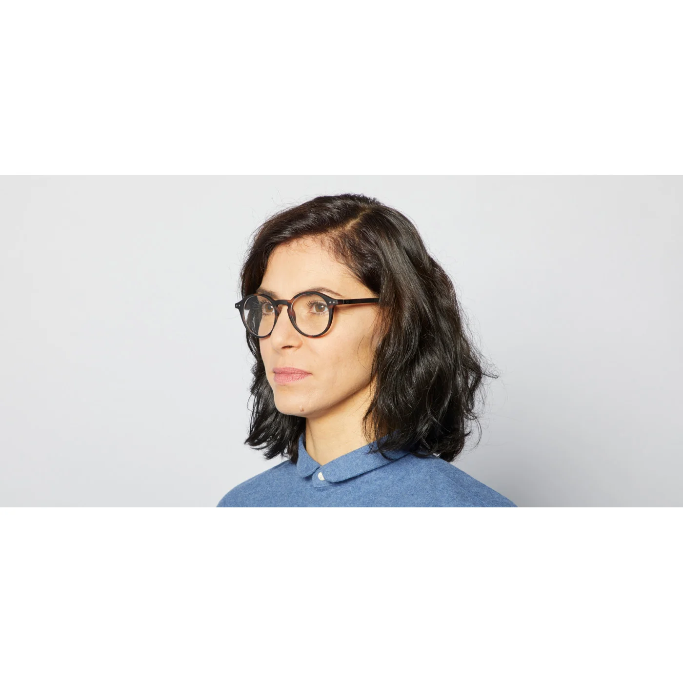 d-tortoise-reading-glasses.jpg