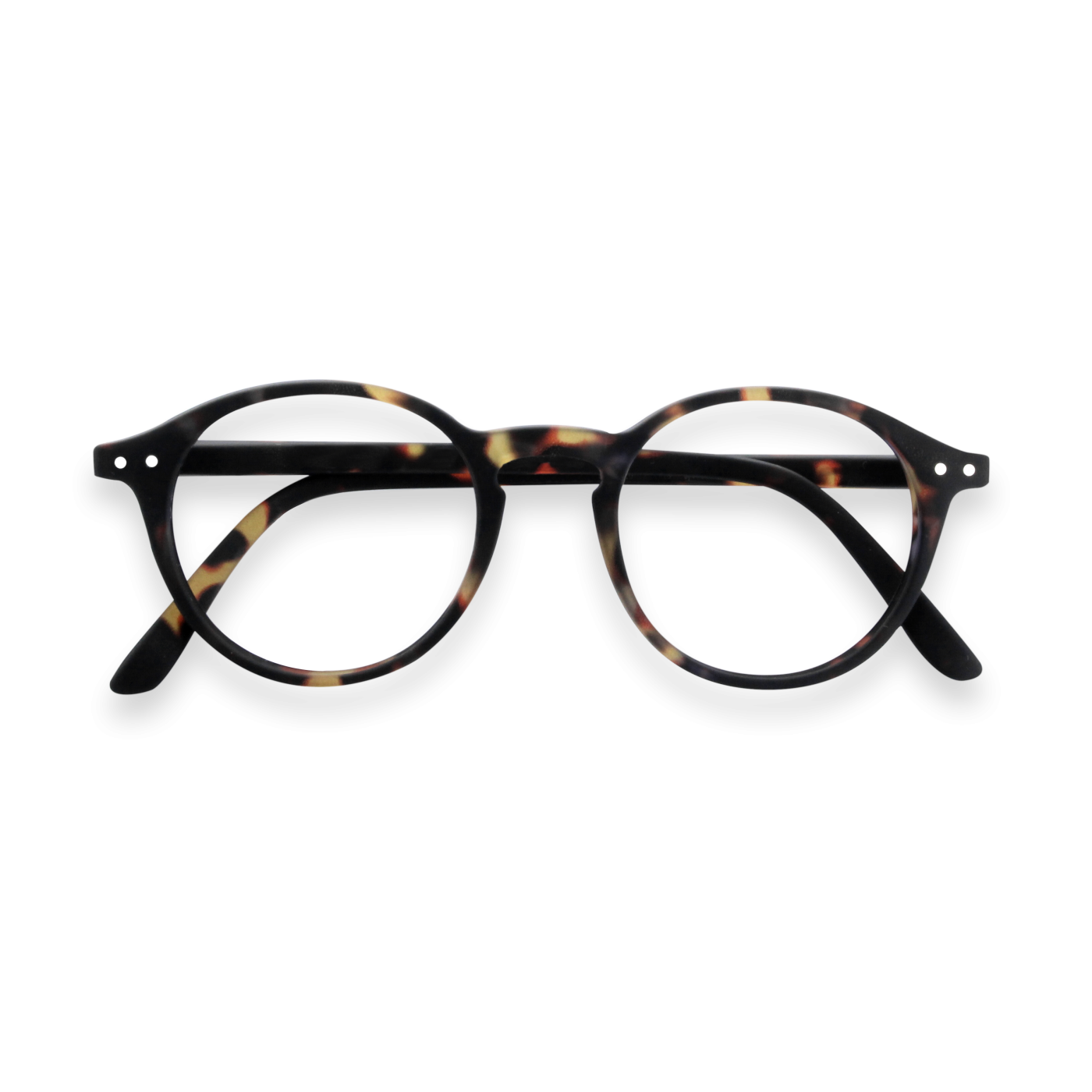 d-tortoise-reading-glasses.png