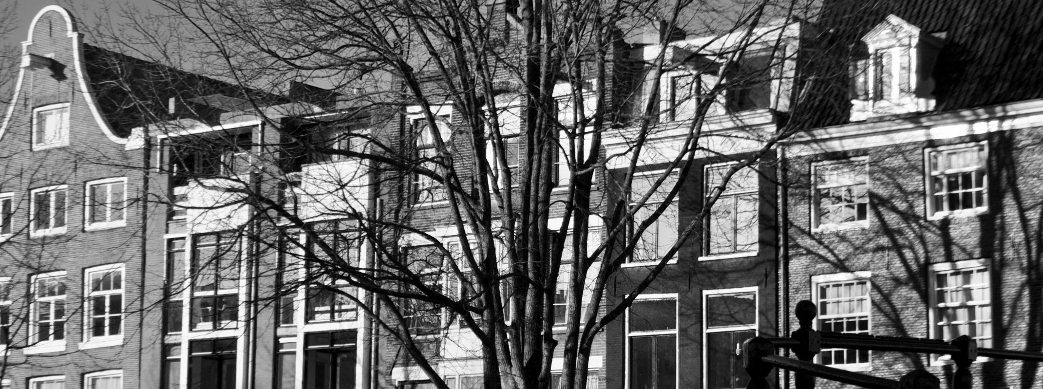 HR Hands Amsterdam 7.jpeg