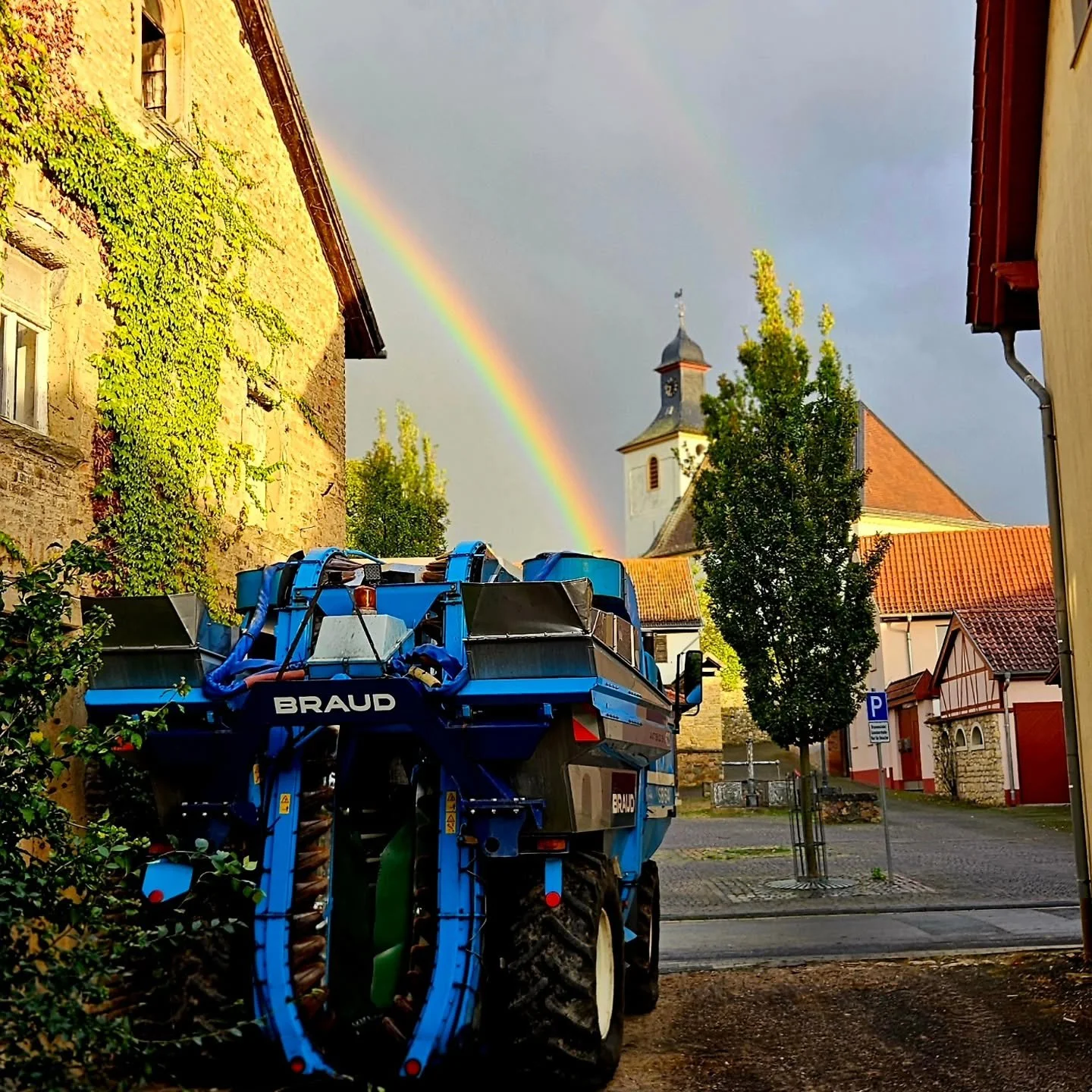 🌈 Ernte gut, alles gut 🍇
Oder wie ging der Spruch nochmal?! 🤷‍♂️
Eine schnelle, intensive, anspruchsvolle Zeit für Mensch und Maschine liegt hinter uns. Die Menge war kleiner als erwartet, dafür ist die Qualität umso besser. Die