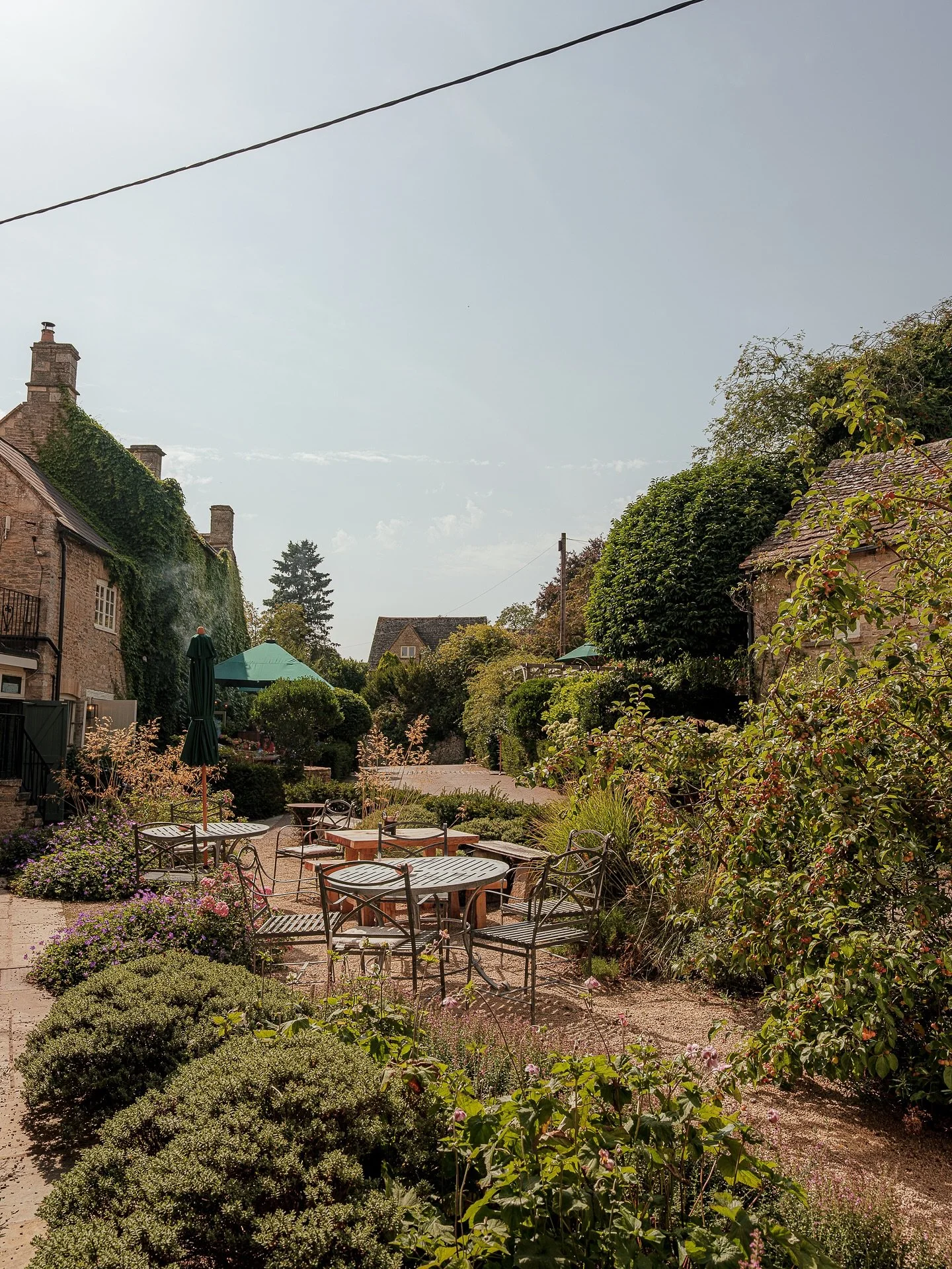 The garden.