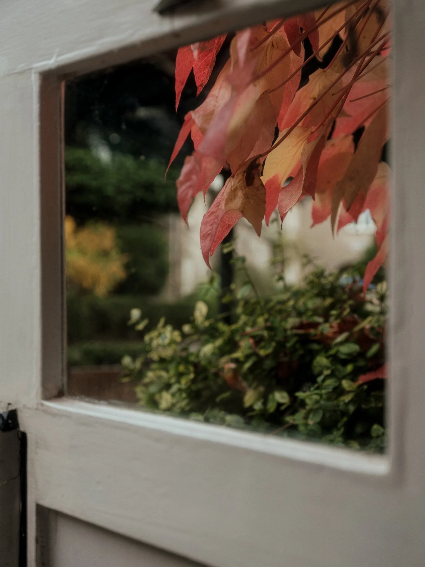 It&rsquo;s a beautiful crisp day here at the pub. We&rsquo;ve got the fires lit and the place is feeling ever so cosy.

Due to some last minute changes, we now have lots of room availability Friday, Saturday &amp; Sunday this weekend. If you&rsquo;d 