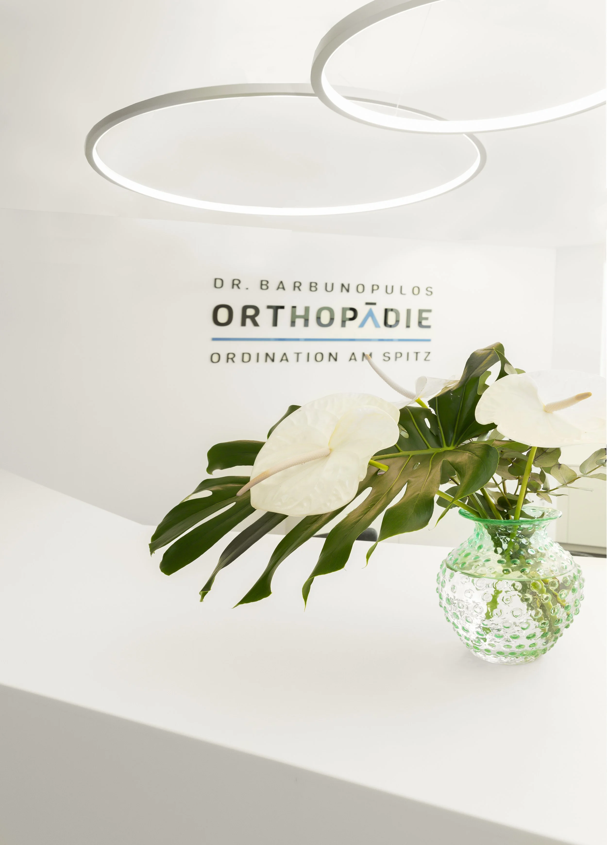 Ordination Am Spitz_17.jpg