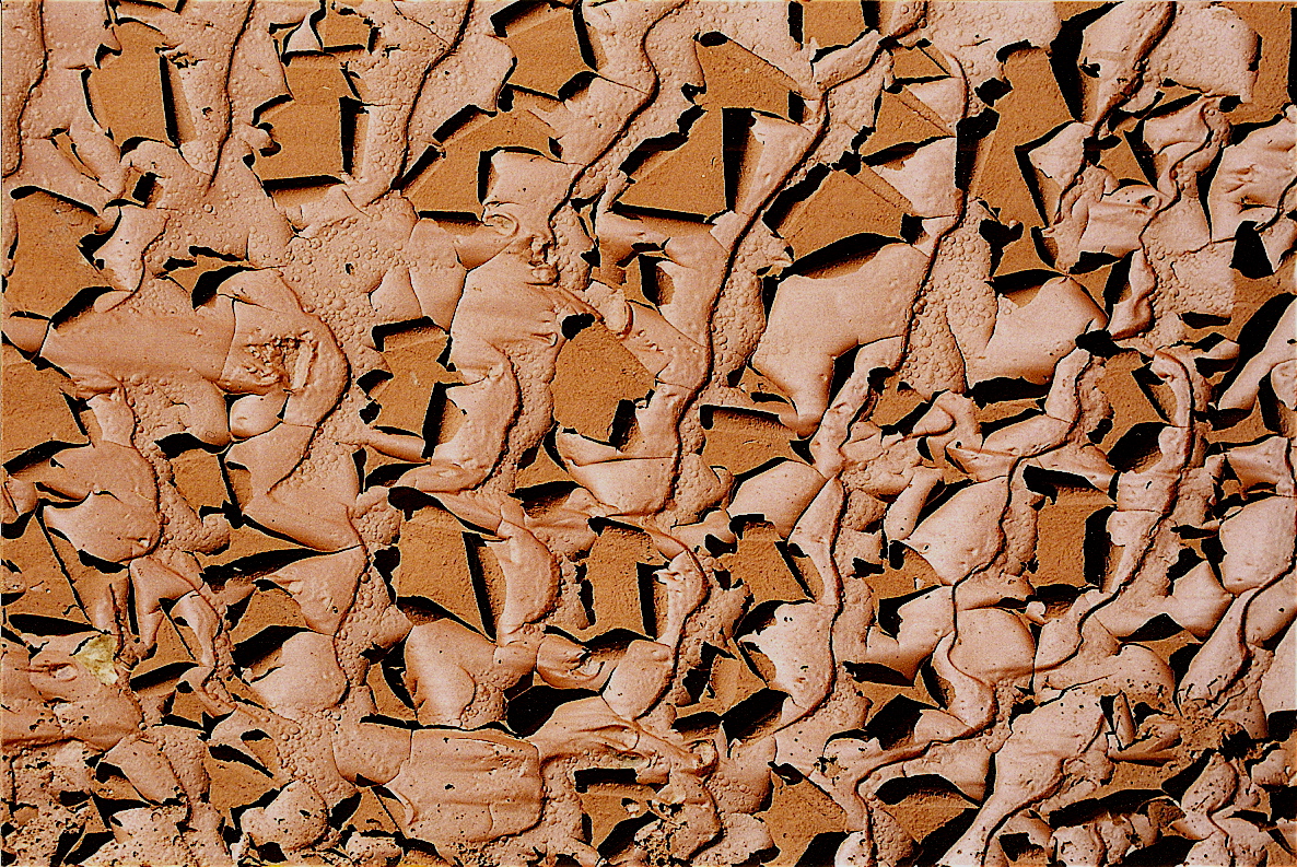 mud patterns 2.jpg