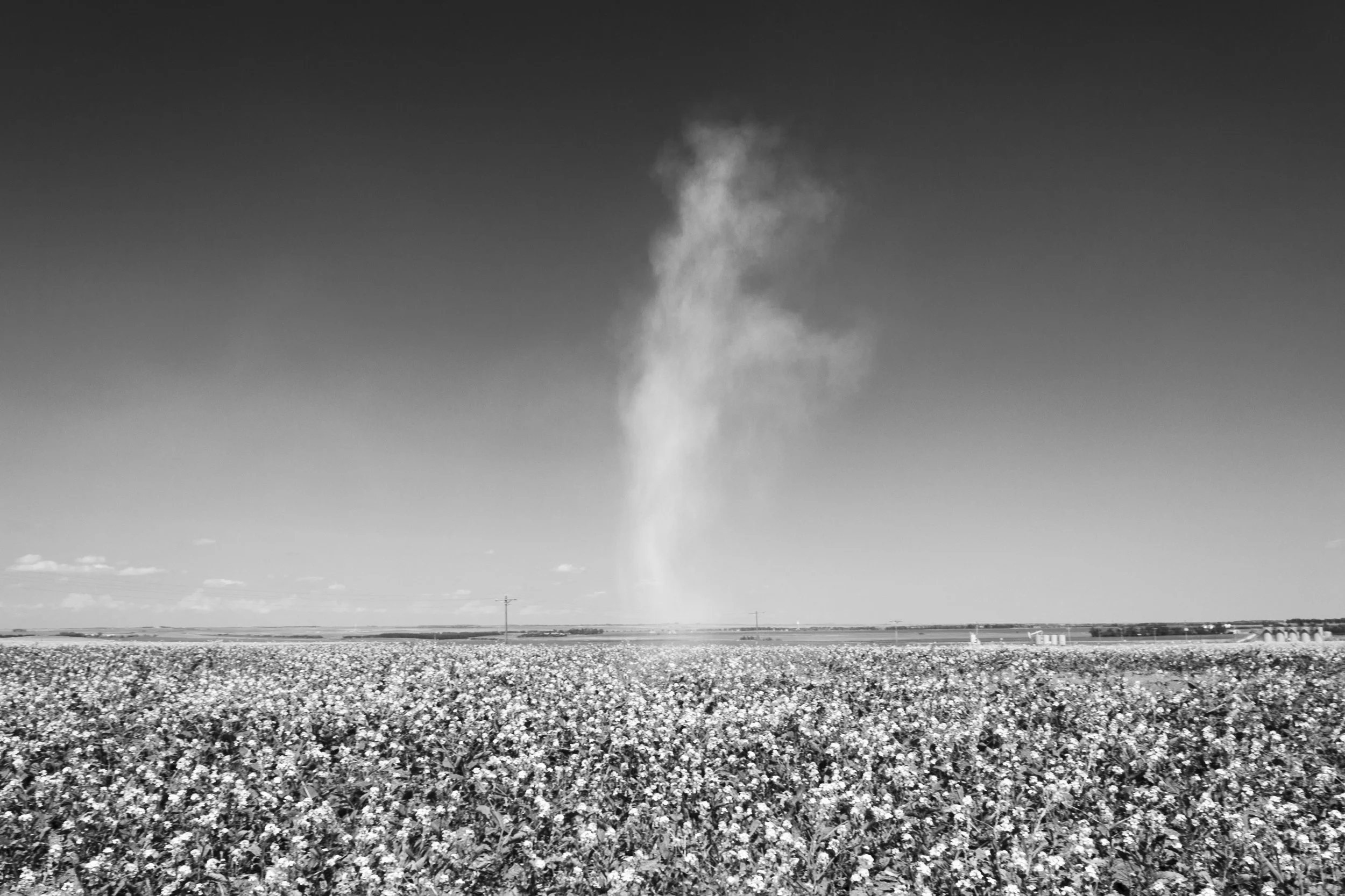 My father’s ashes drifting over North Dakota near Tioga. Photo by Antonio Rodriguez