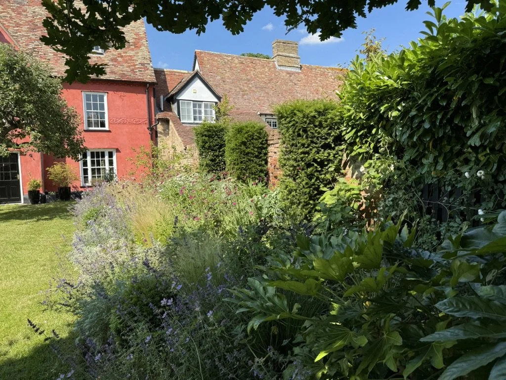 Pollinator Planting  - Hemingford Abbots