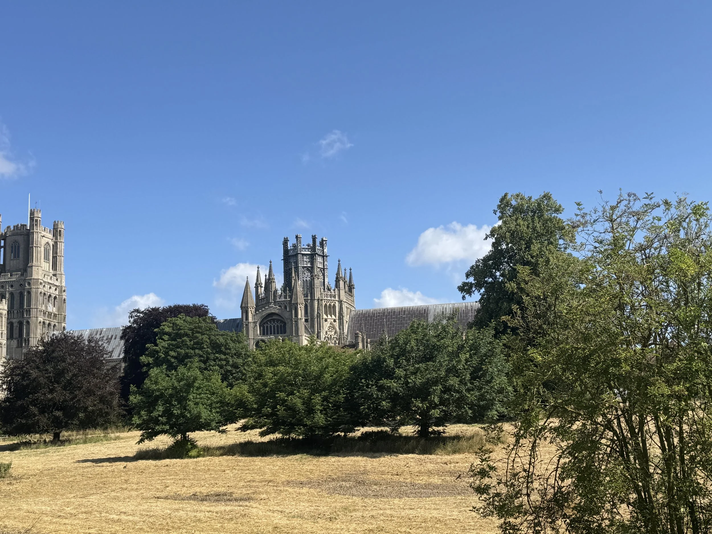 IMG_6111.jpeg