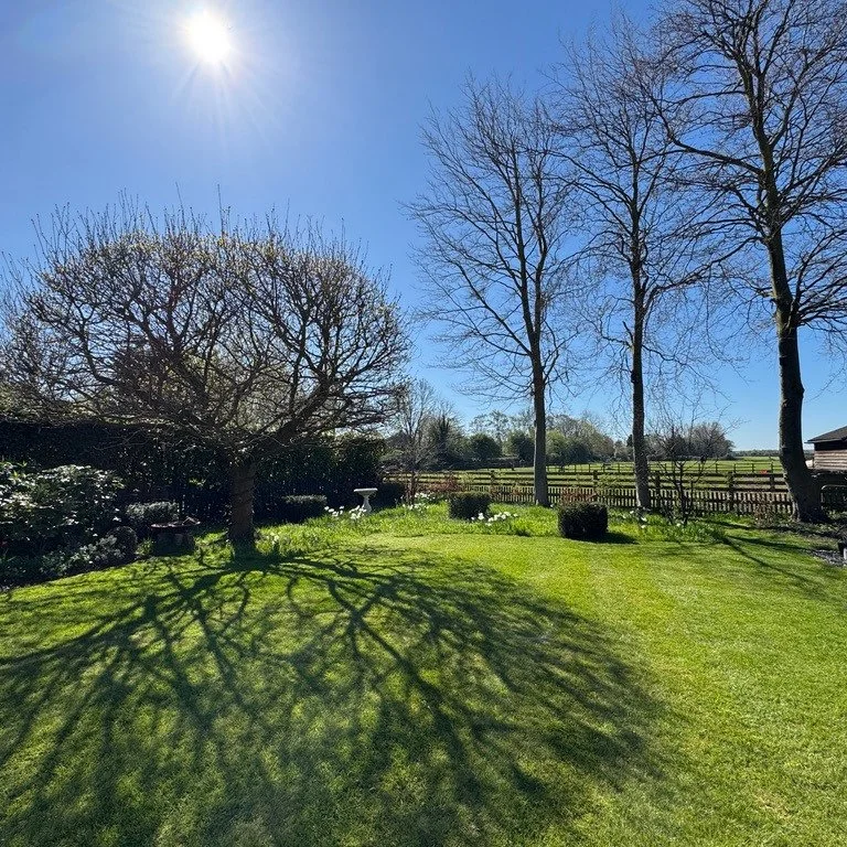 And just like that&hellip; Trump brings havoc to the world and threatens to wipe out the whole of Iranian civilisation tomorrow. 
In a totally different (but parallel) universe, we feel very lucky to have had our swallows return today, having flown 1