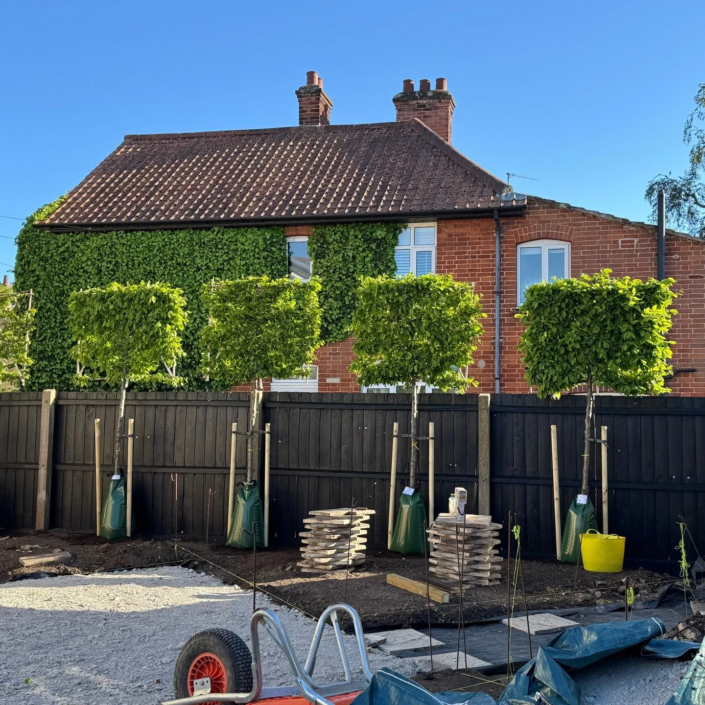 Wow, what a difference these pleach make to this client's garden. Setting out underway and lots of hard work going on by Nick @nslandscapedesign over the next few weeks. We can't wait to see the incredible transformation over the coming weeks. I've c