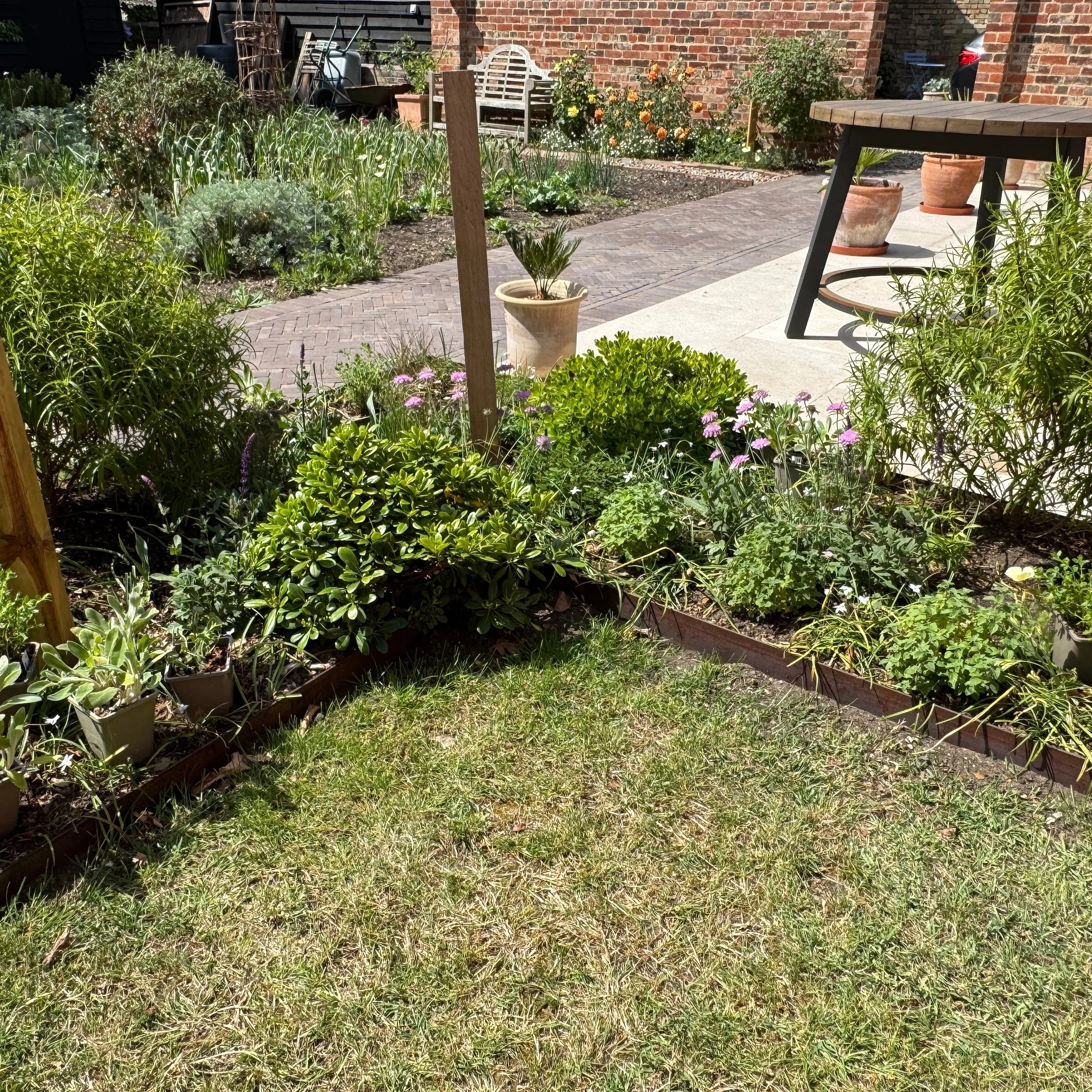 Love a plant delivery. Adding in to this newly created border some Nepeta 'Little Titch', Teucrium chamaedrys f. albiflora and Stachys byzantina. Something to plant up over the weekend. Looking forward to seeing this whole border develop over the sum
