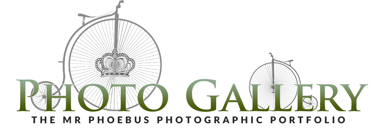 PHOTO-LOGO.png