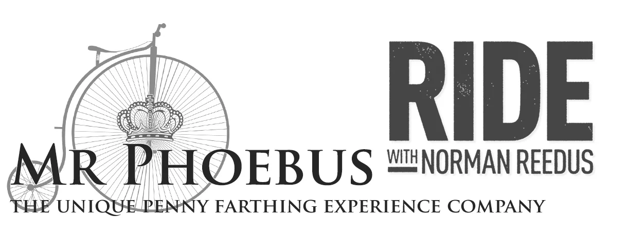 PORTFOLIO-REEDUS--LOGO.jpg