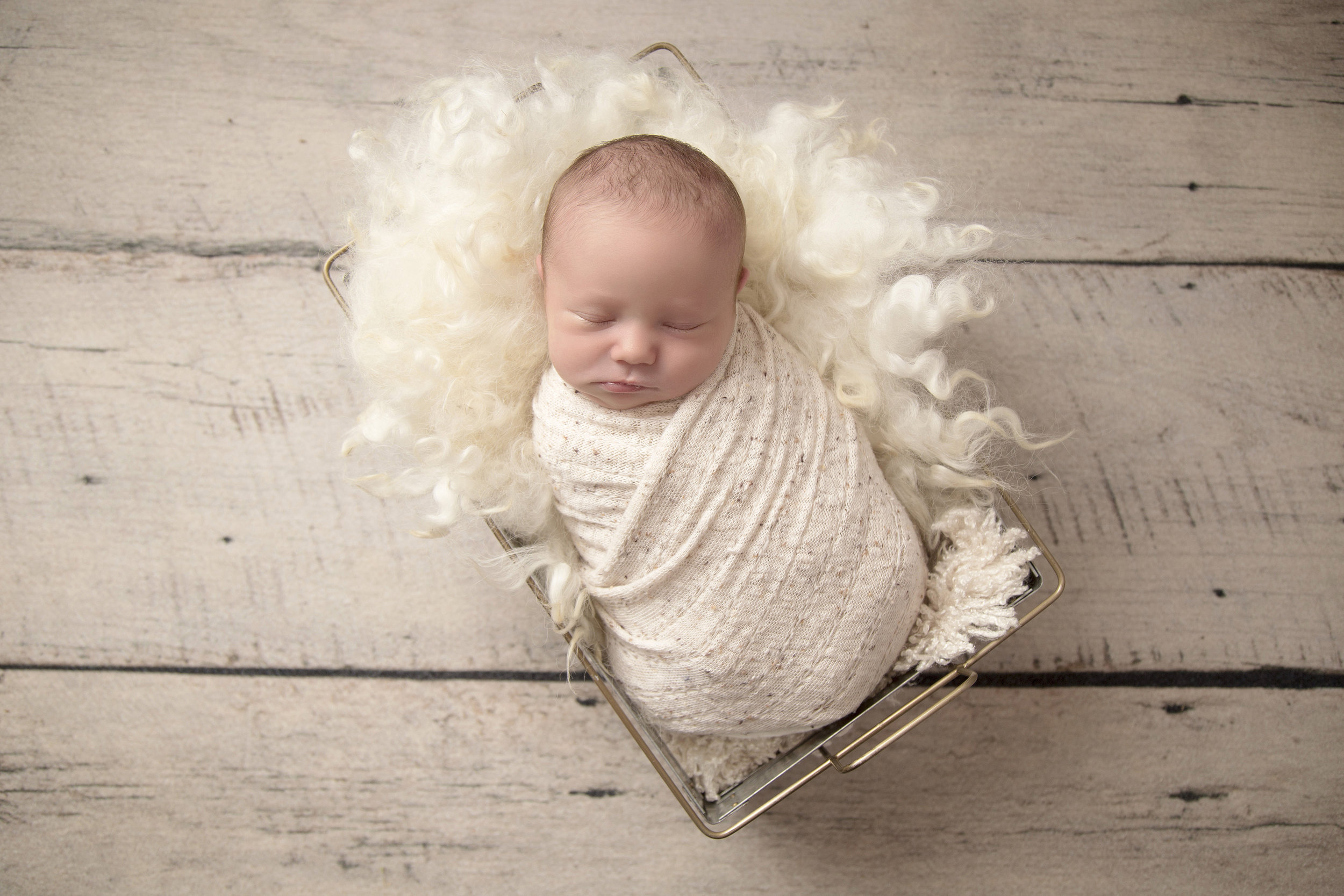 lancaster-newborn-photography-angie-englerth-aep009.jpg