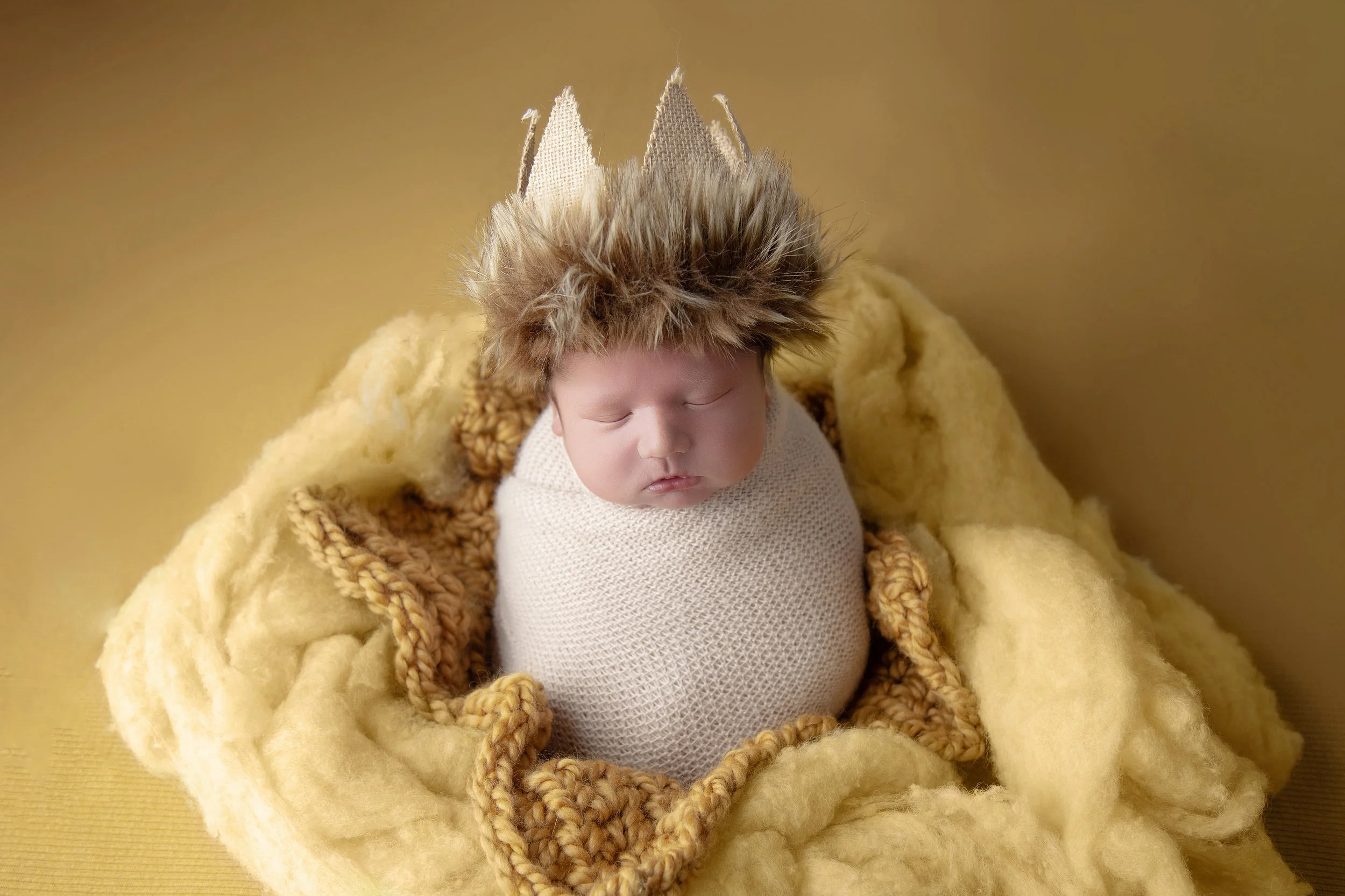 I love when parents incorporate special things to them and Keller's session was no exception with his Where the Wild Things are theme.