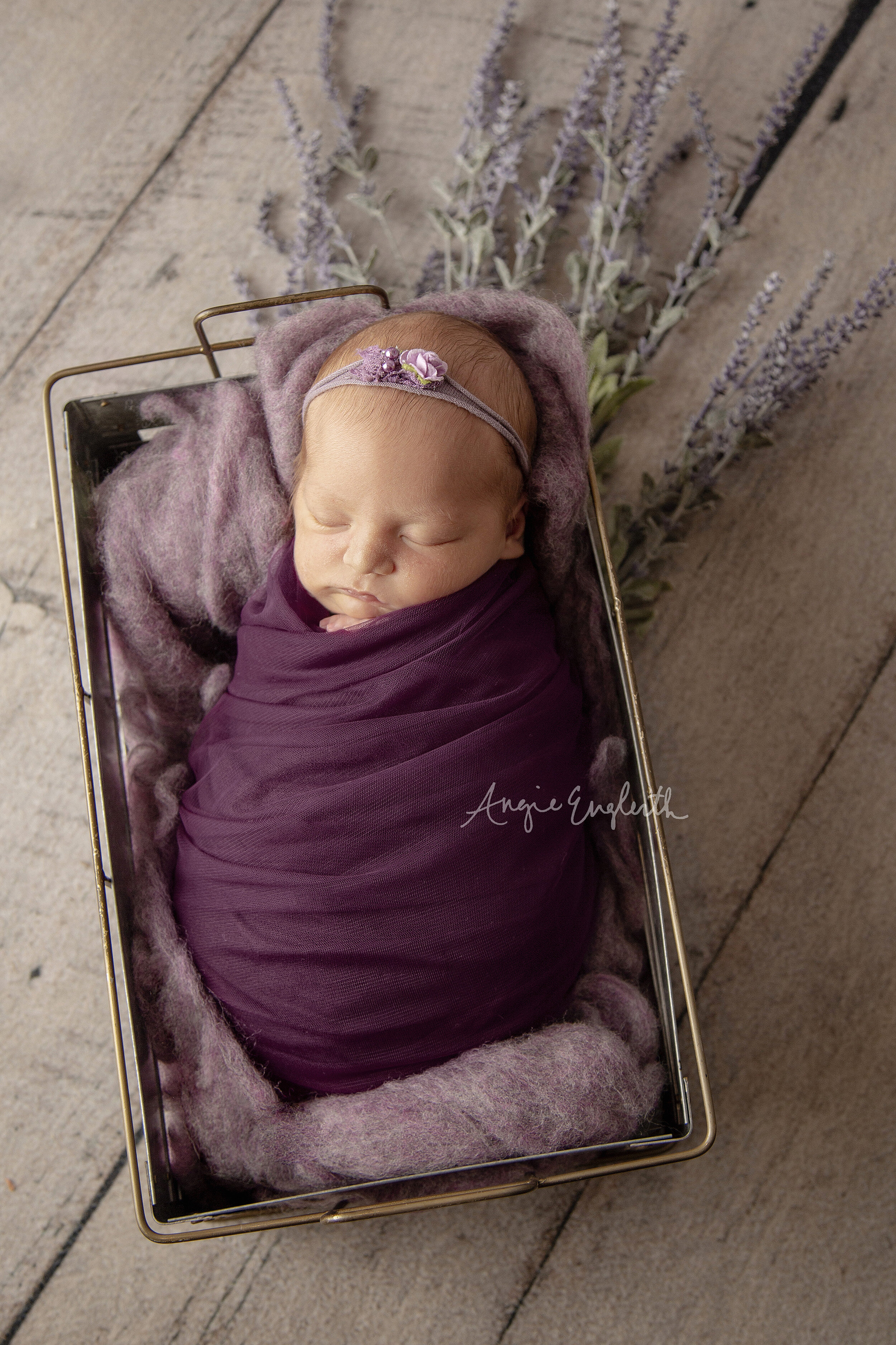 lancaster-newborn-photographer-angie-englerth-m005.jpg