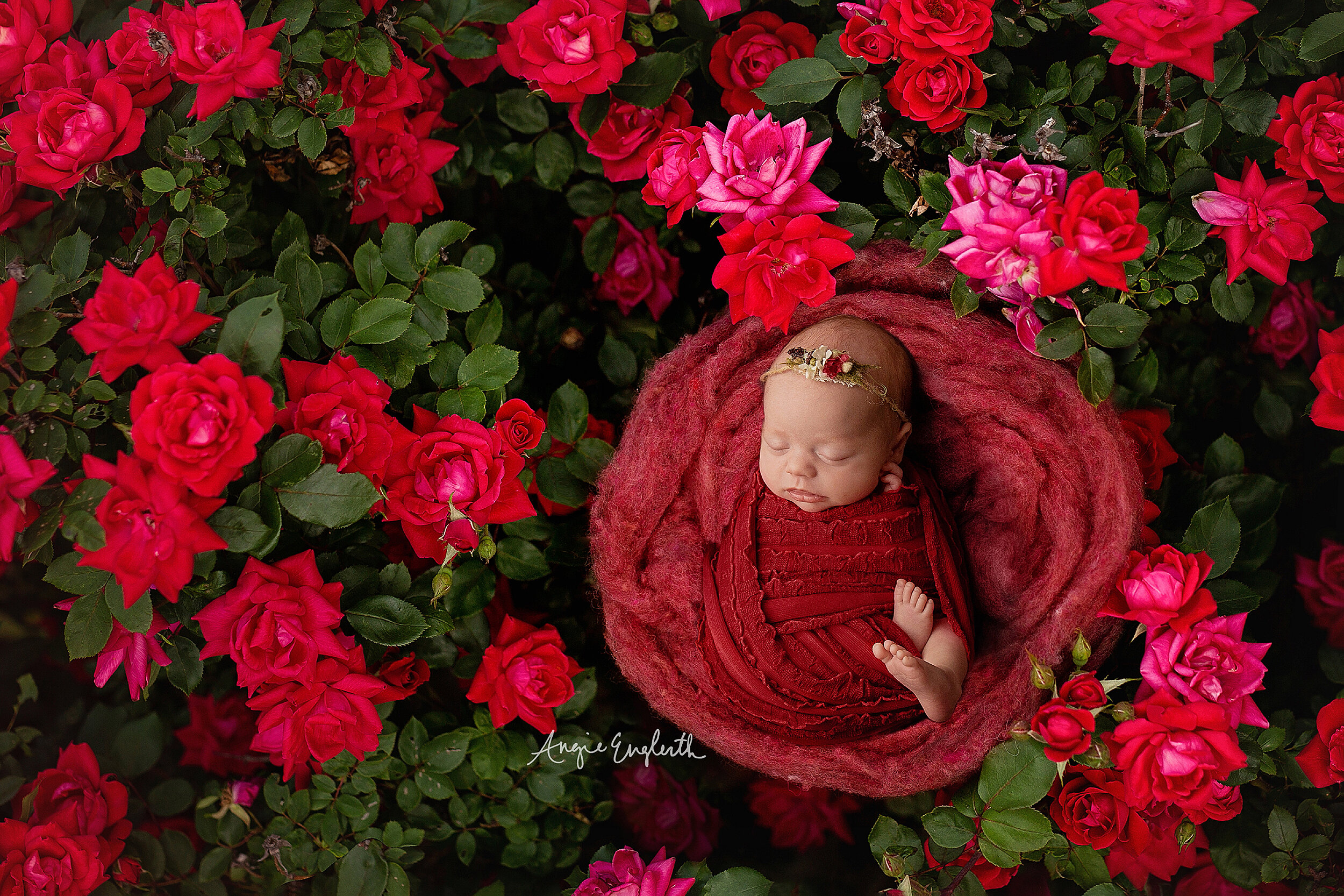 lancaster-newborn-photographer-angie-englerth-photography-r008.jpg