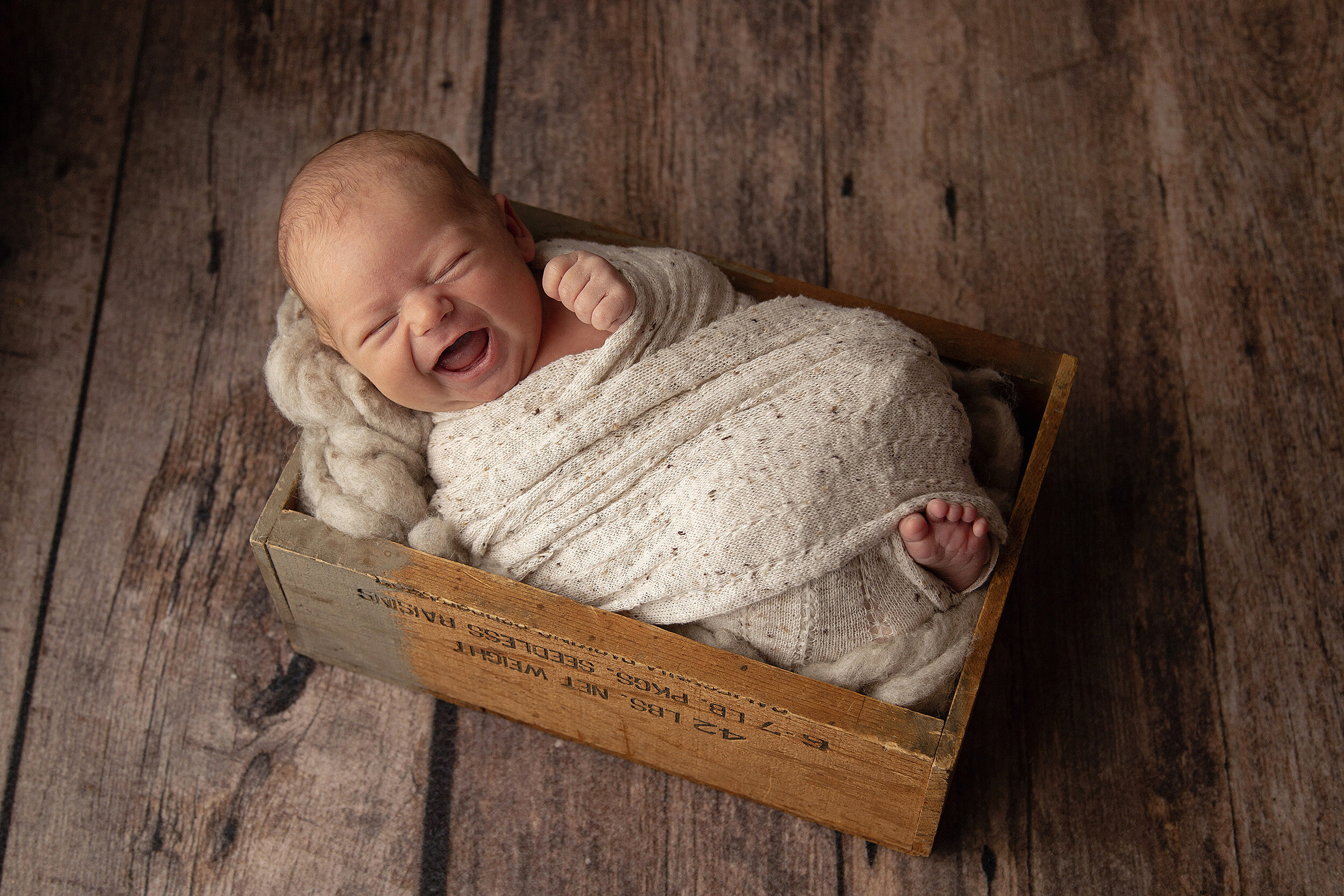 lancaster-newborn-photography-angie-englerth-aep046.jpg