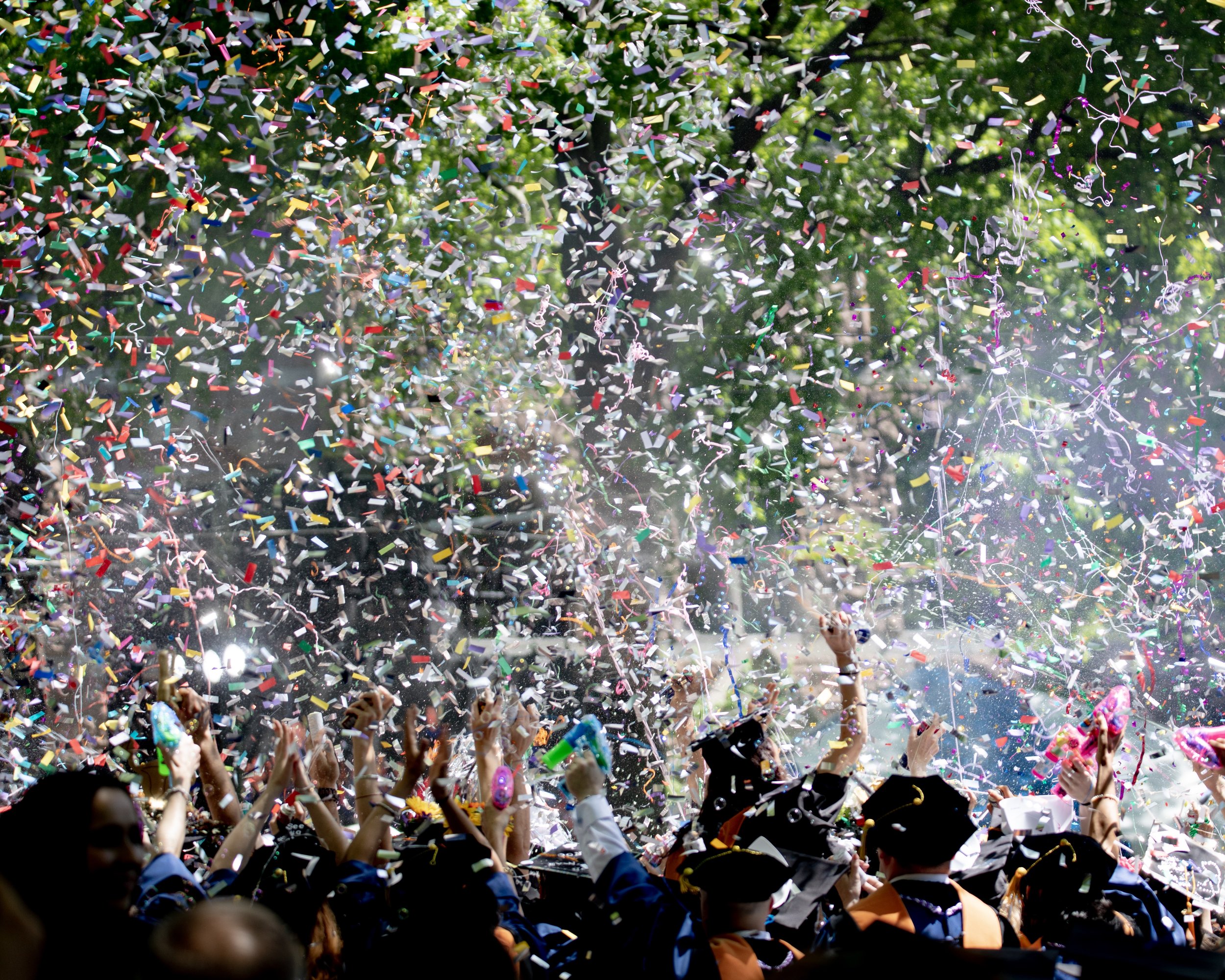 Let’s celebrate failure (Photo by Keith Luke on Unsplash )