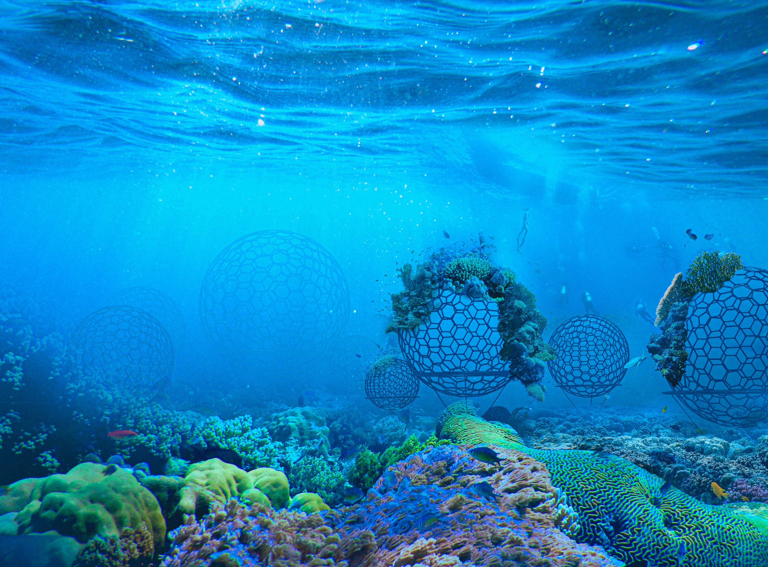 Undersea Electric Coral.jpg