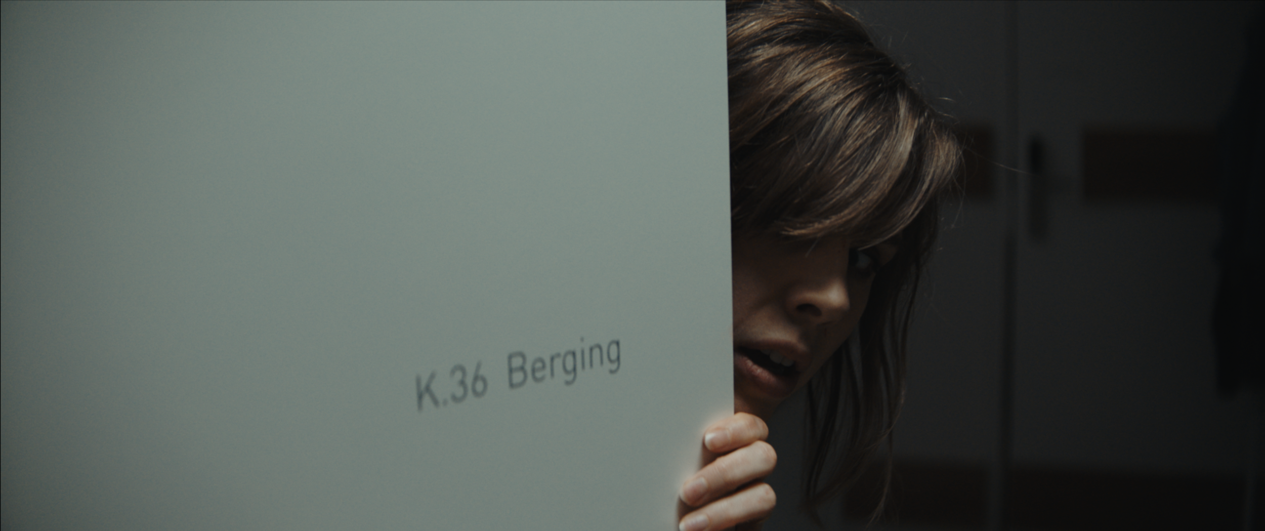 Schermafbeelding 2018-09-22 om 16.12.40.png